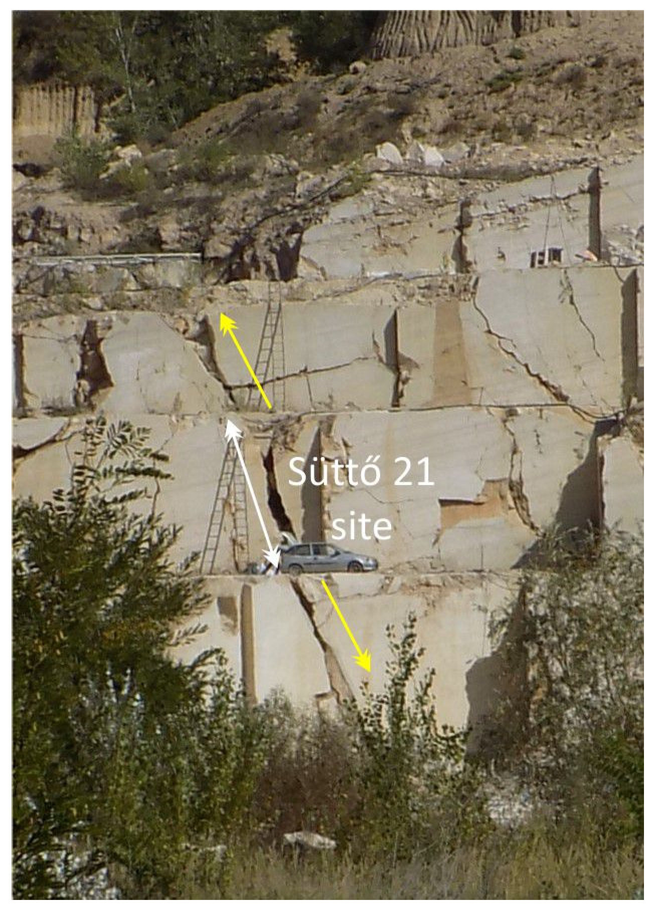 Preprints 74864 g002