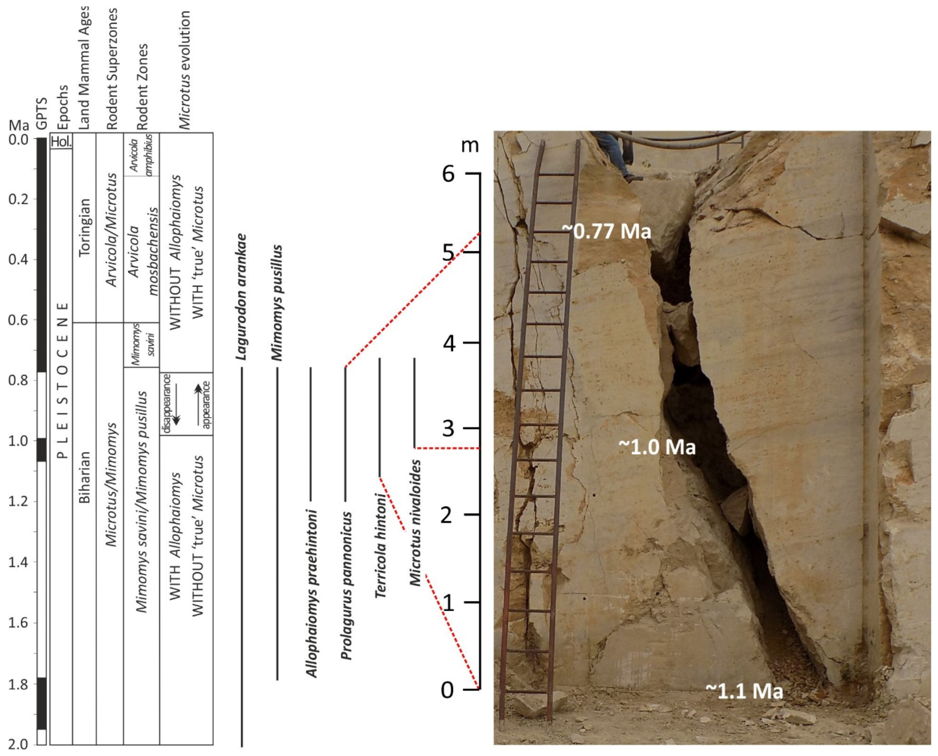 Preprints 74864 g005