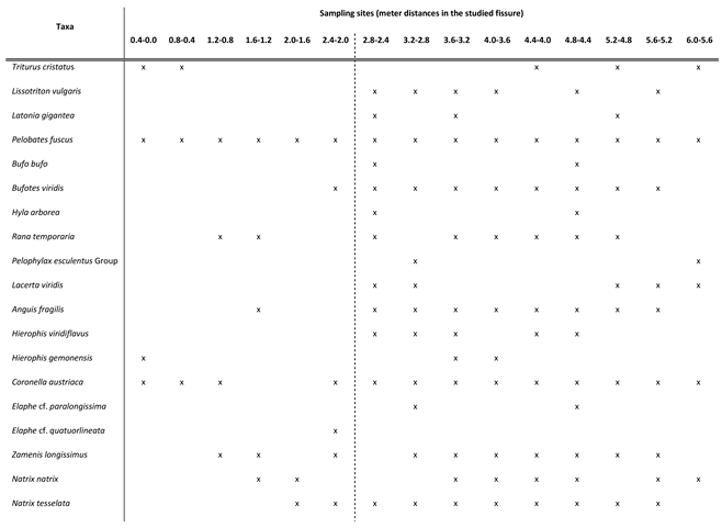 Preprints 74864 i001