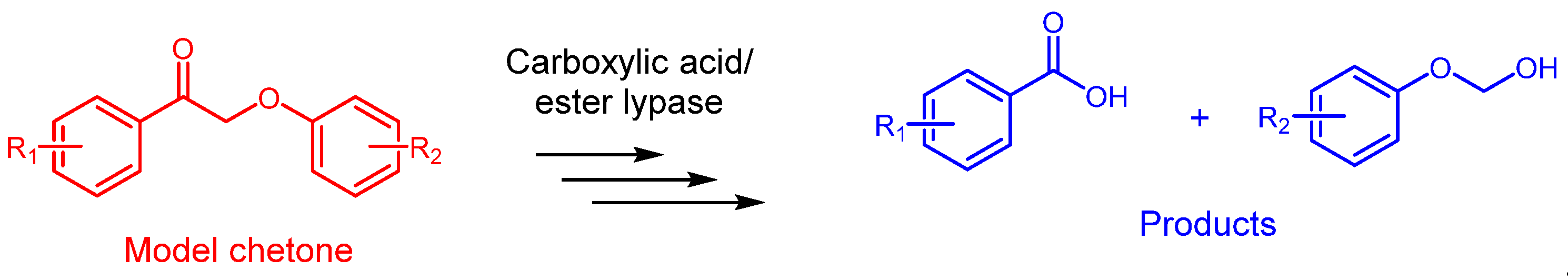 Preprints 158812 sch004