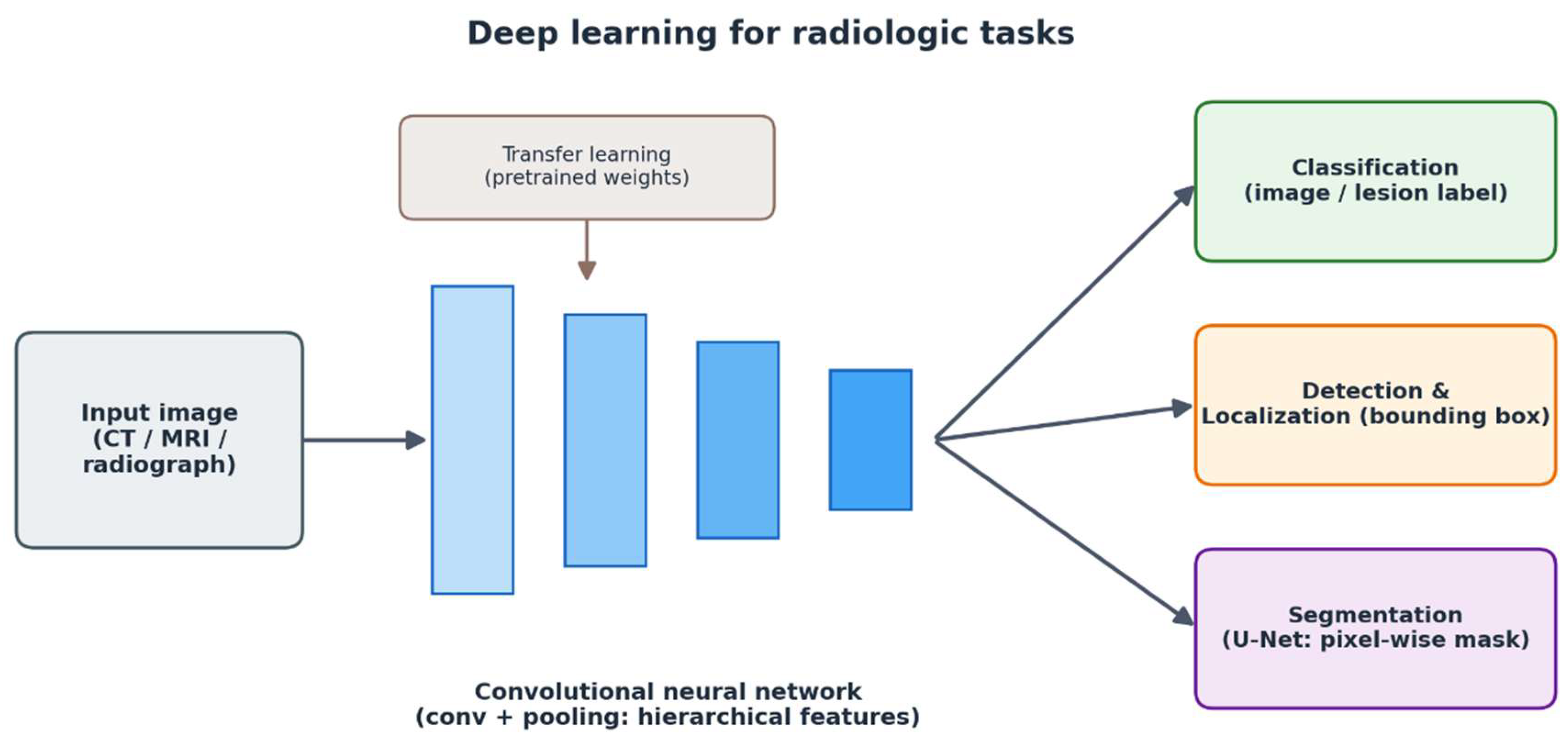 Neural Code Radiology Artificial Intelligence and Radiomics in Diagnostic Imaging: A ...