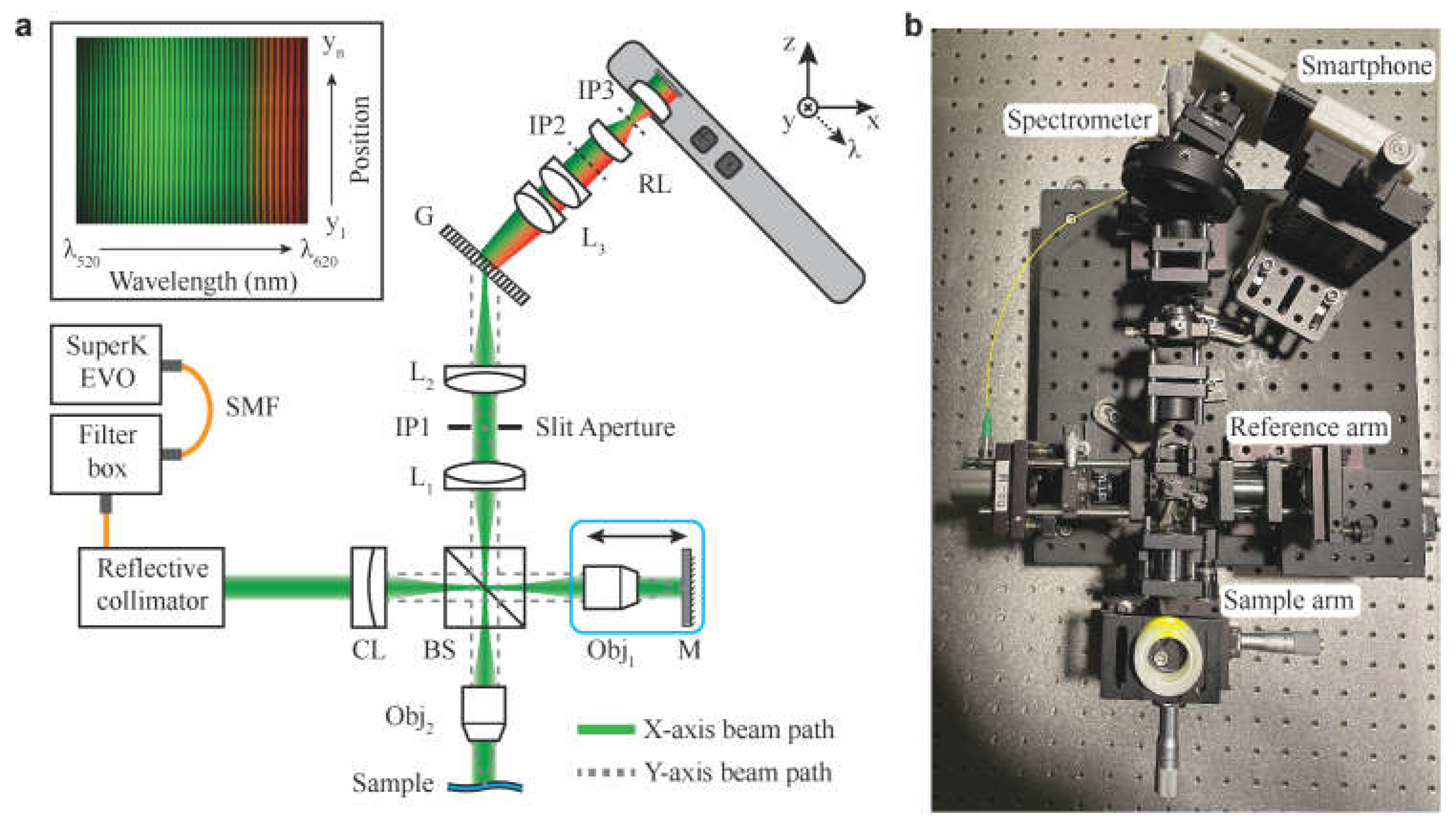 Preprints 152712 g001