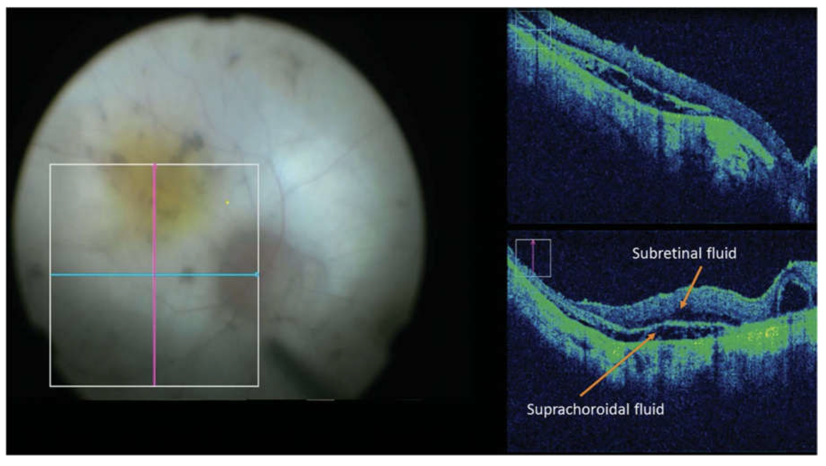 Preprints 152712 g002