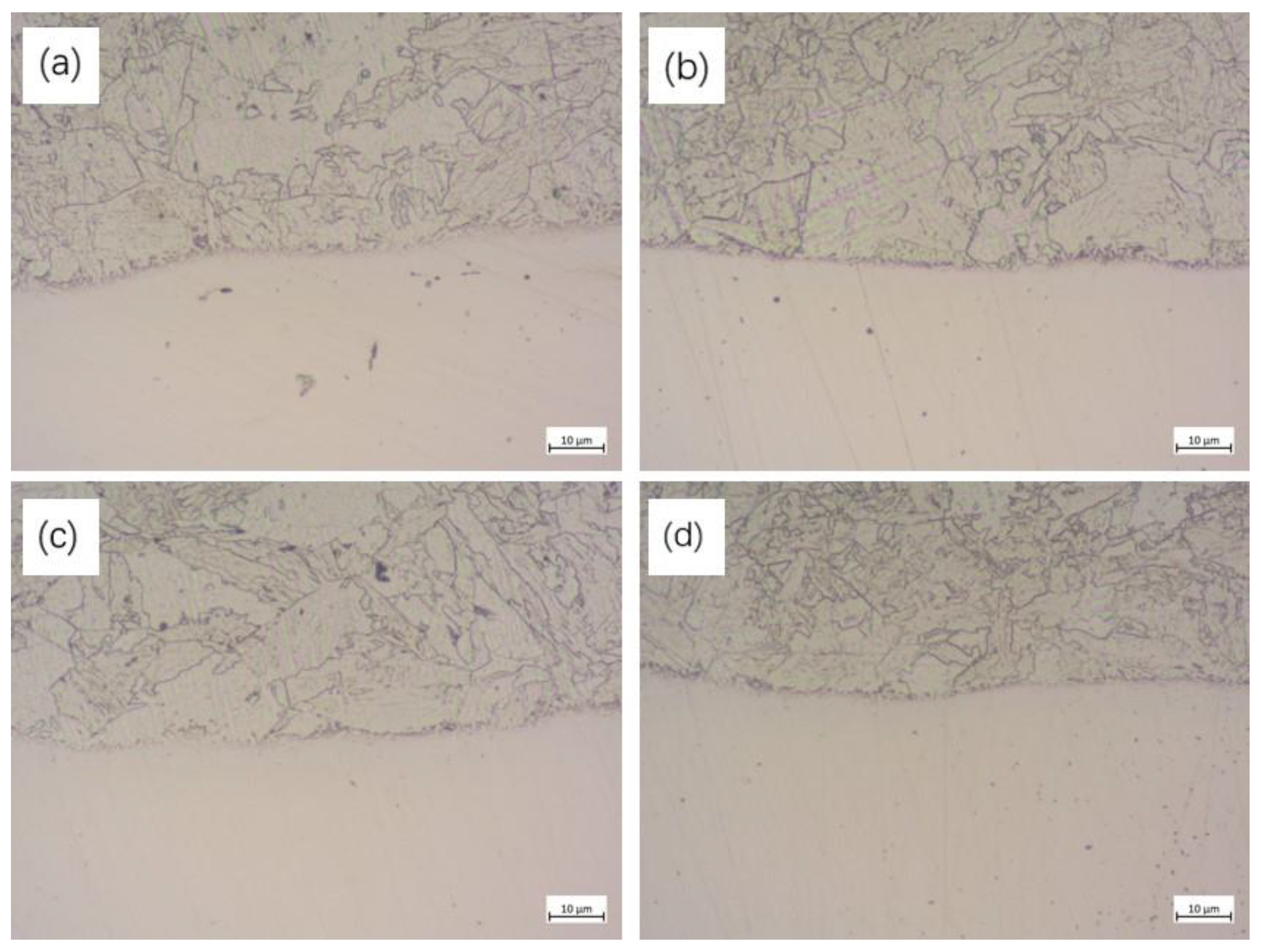 Preprints 141673 g001