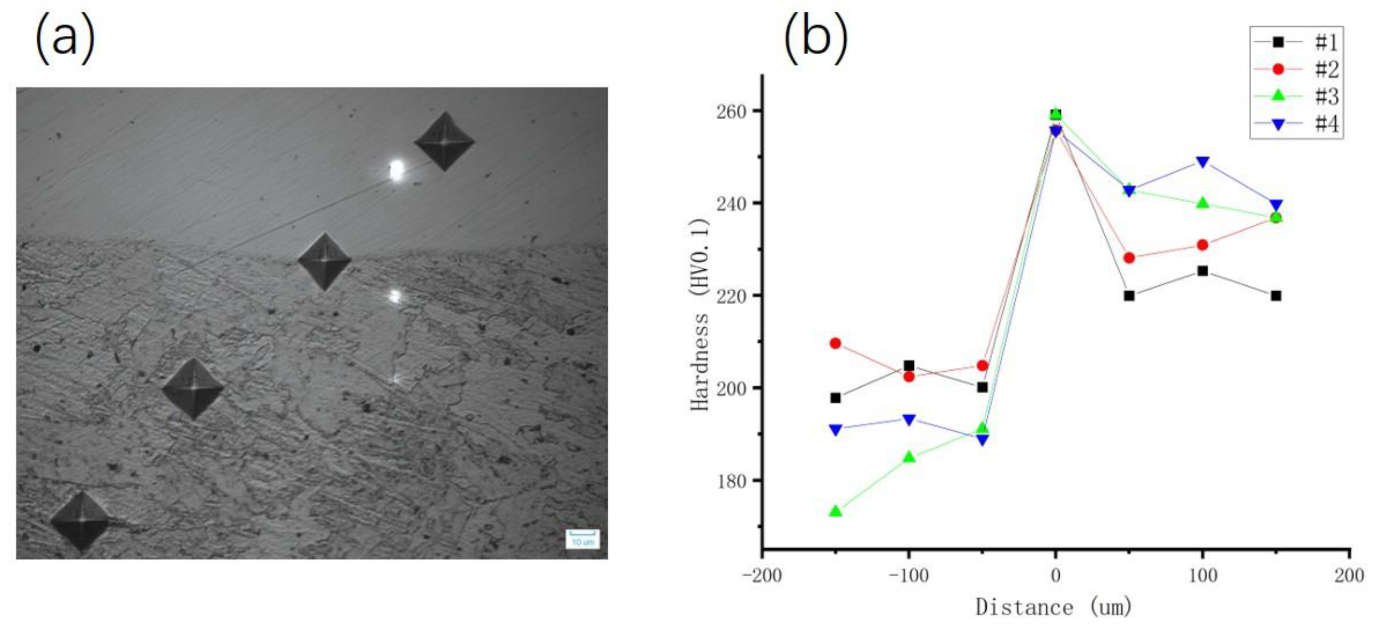 Preprints 141673 g002