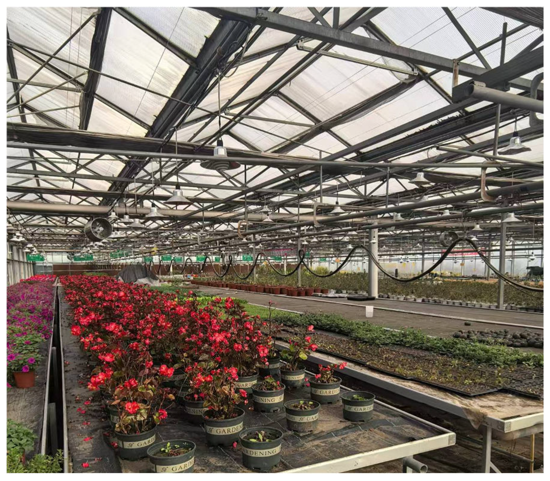 Preprints 140999 g001