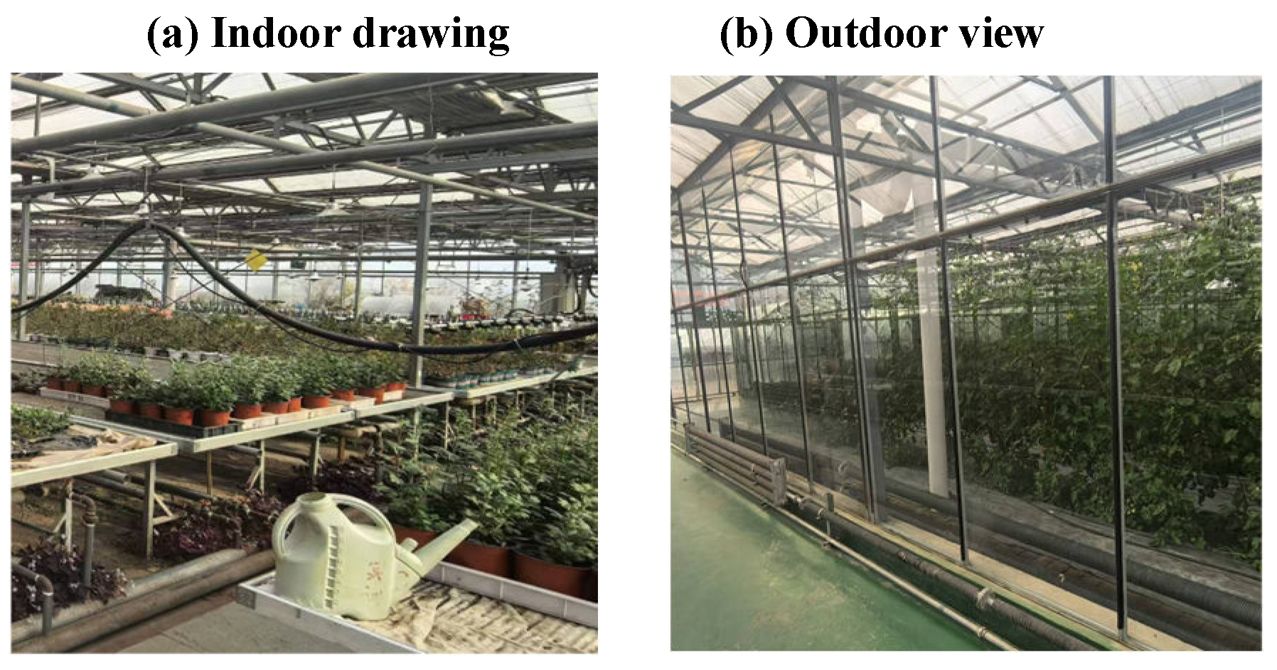 Preprints 140999 g003