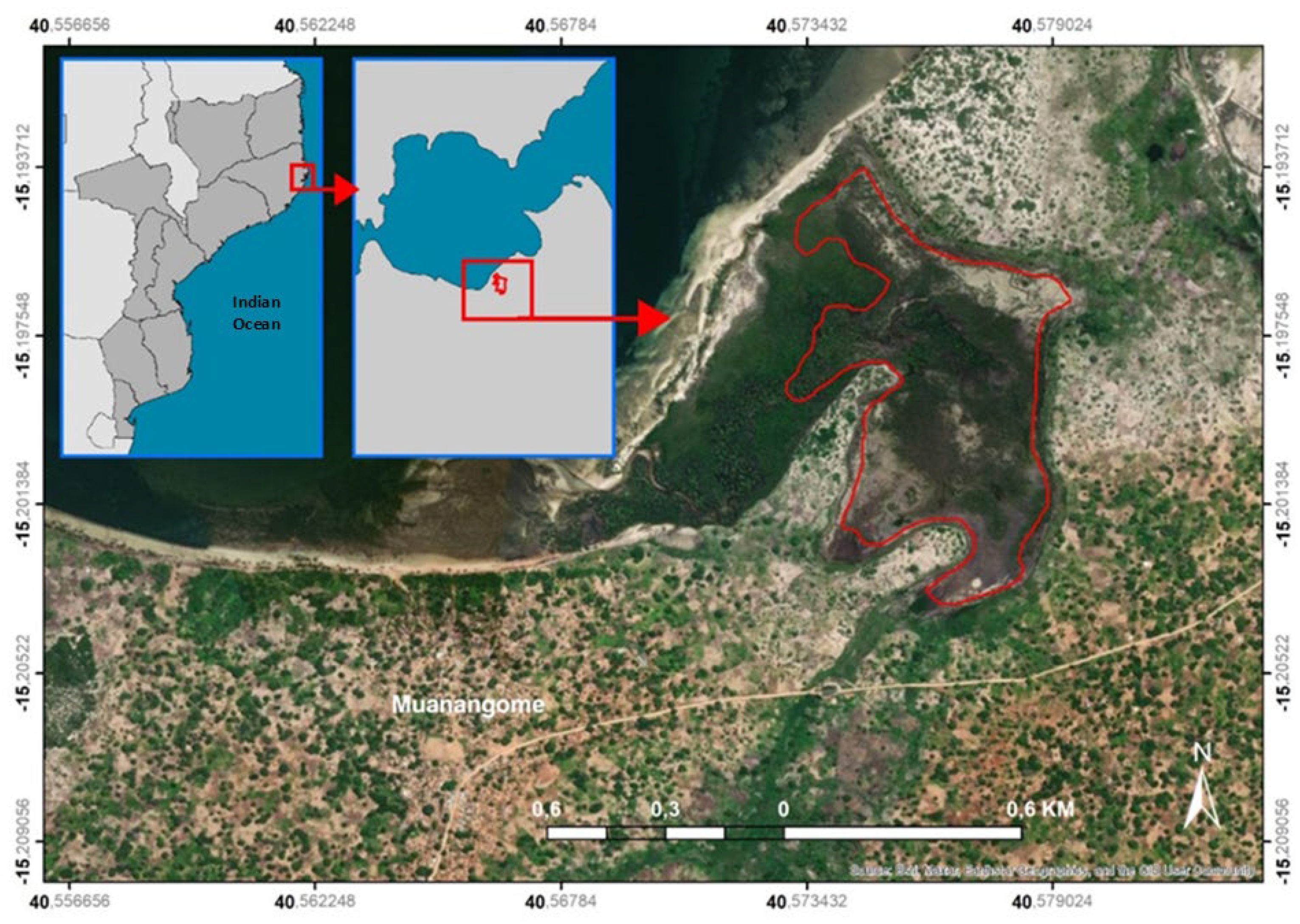 Preprints 205908 g001