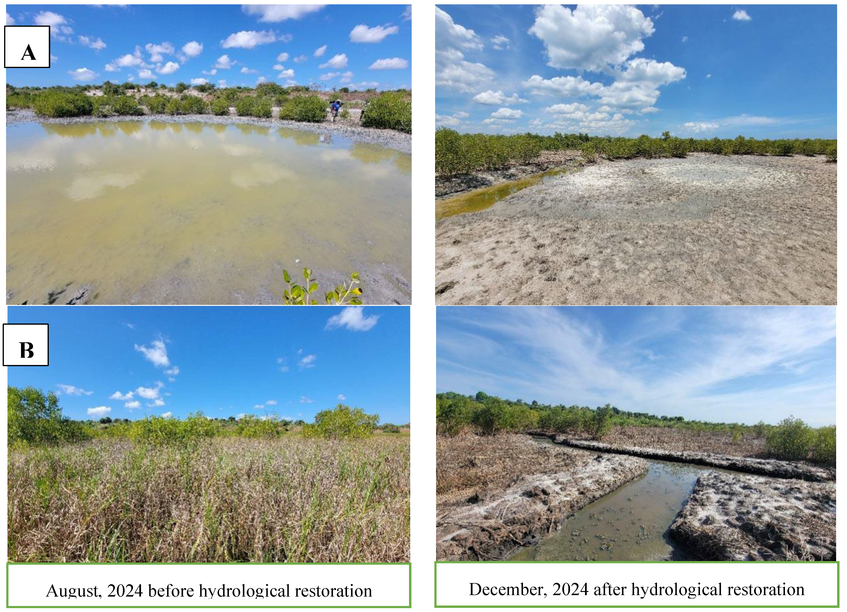 Preprints 205908 g007