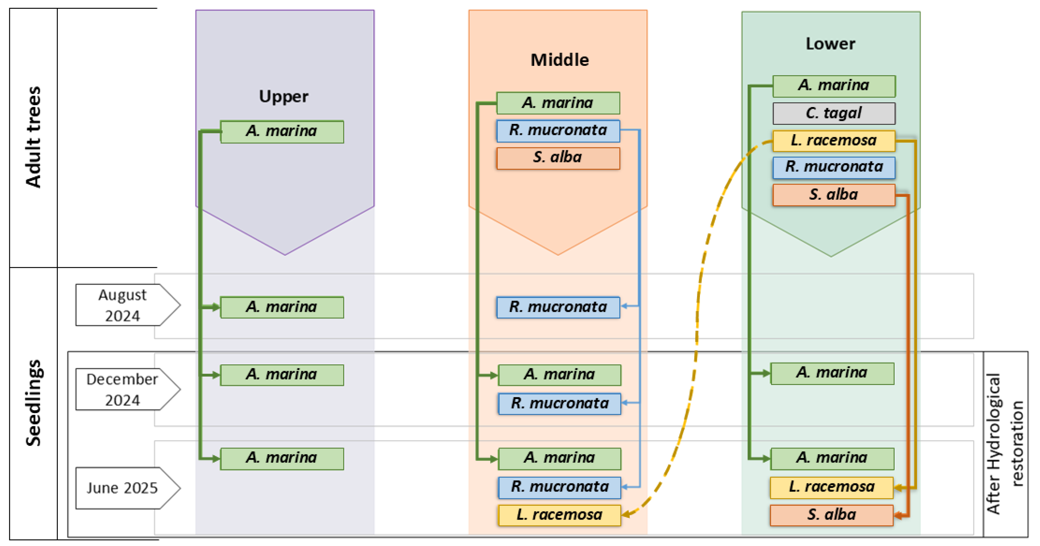 Preprints 205908 g008