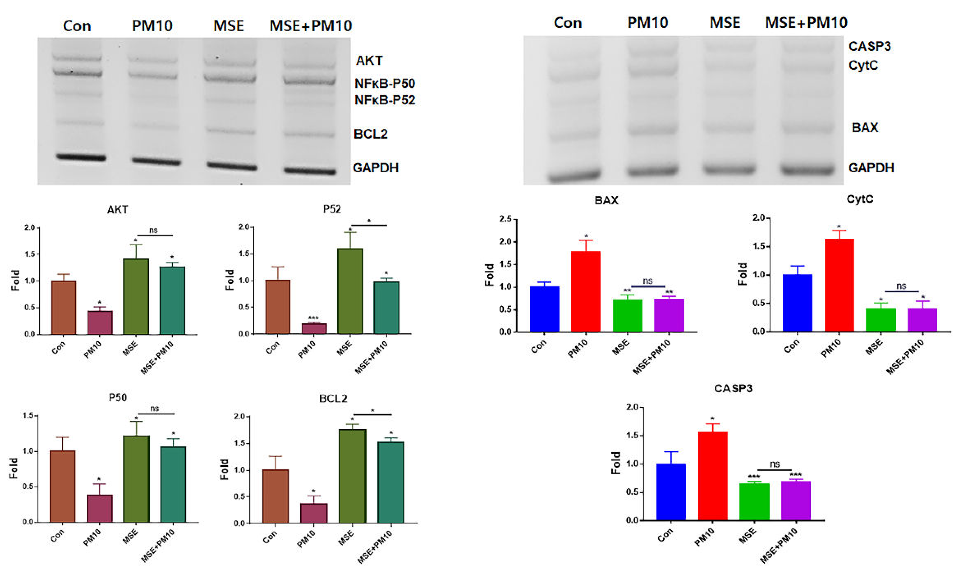 Preprints 108944 g002