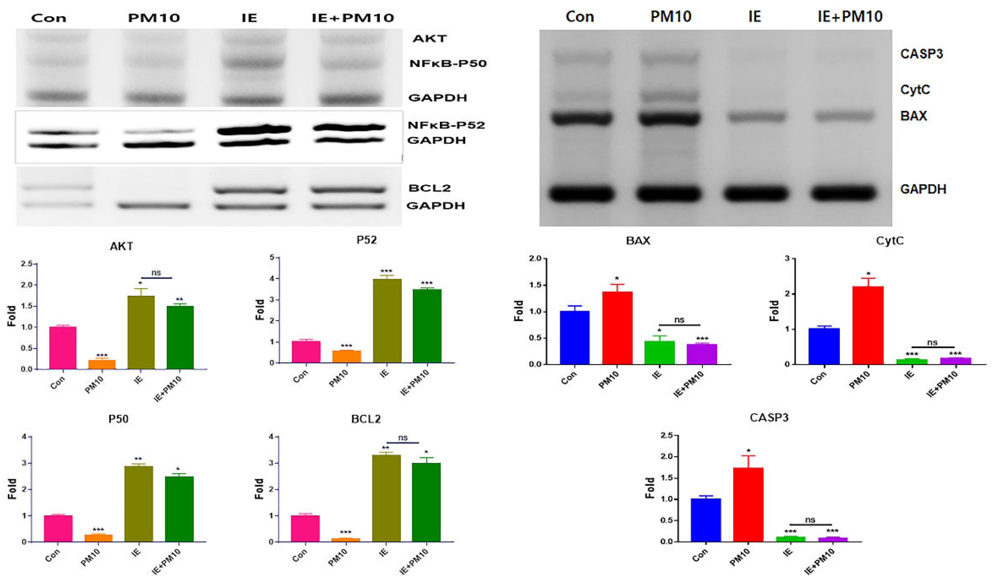 Preprints 108944 g003