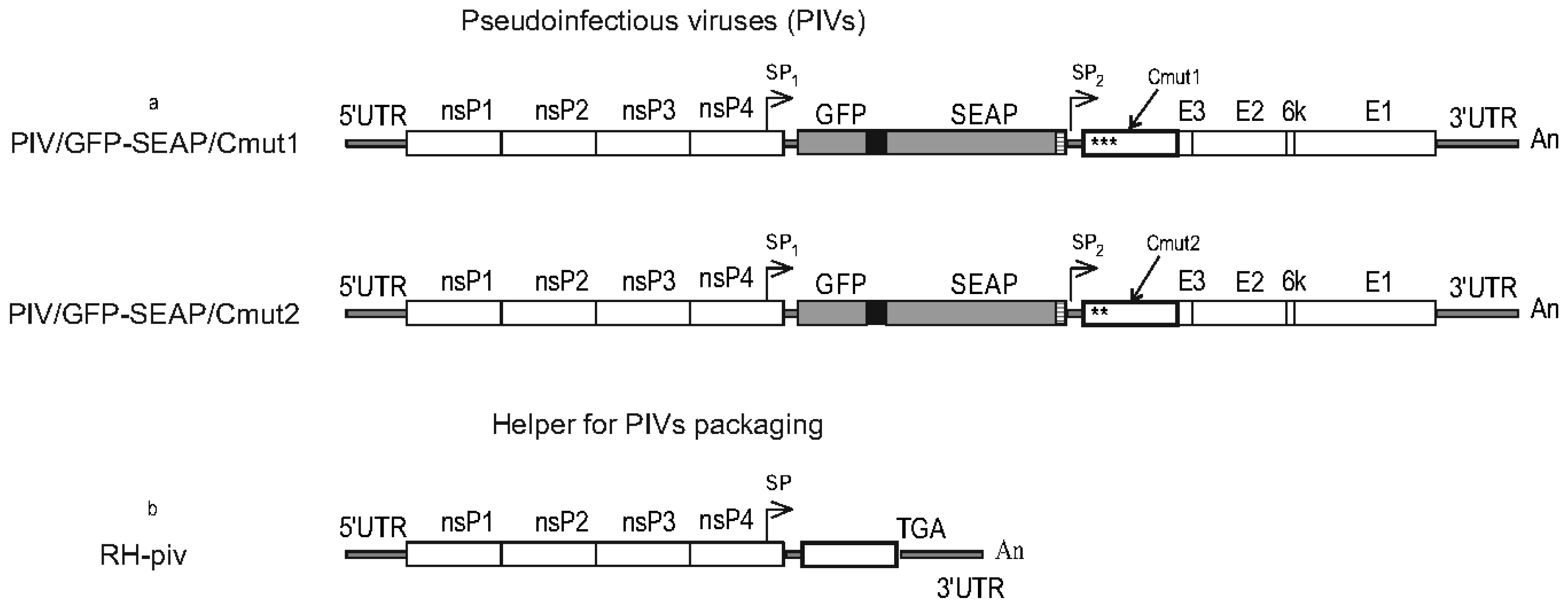 Preprints 144191 g004
