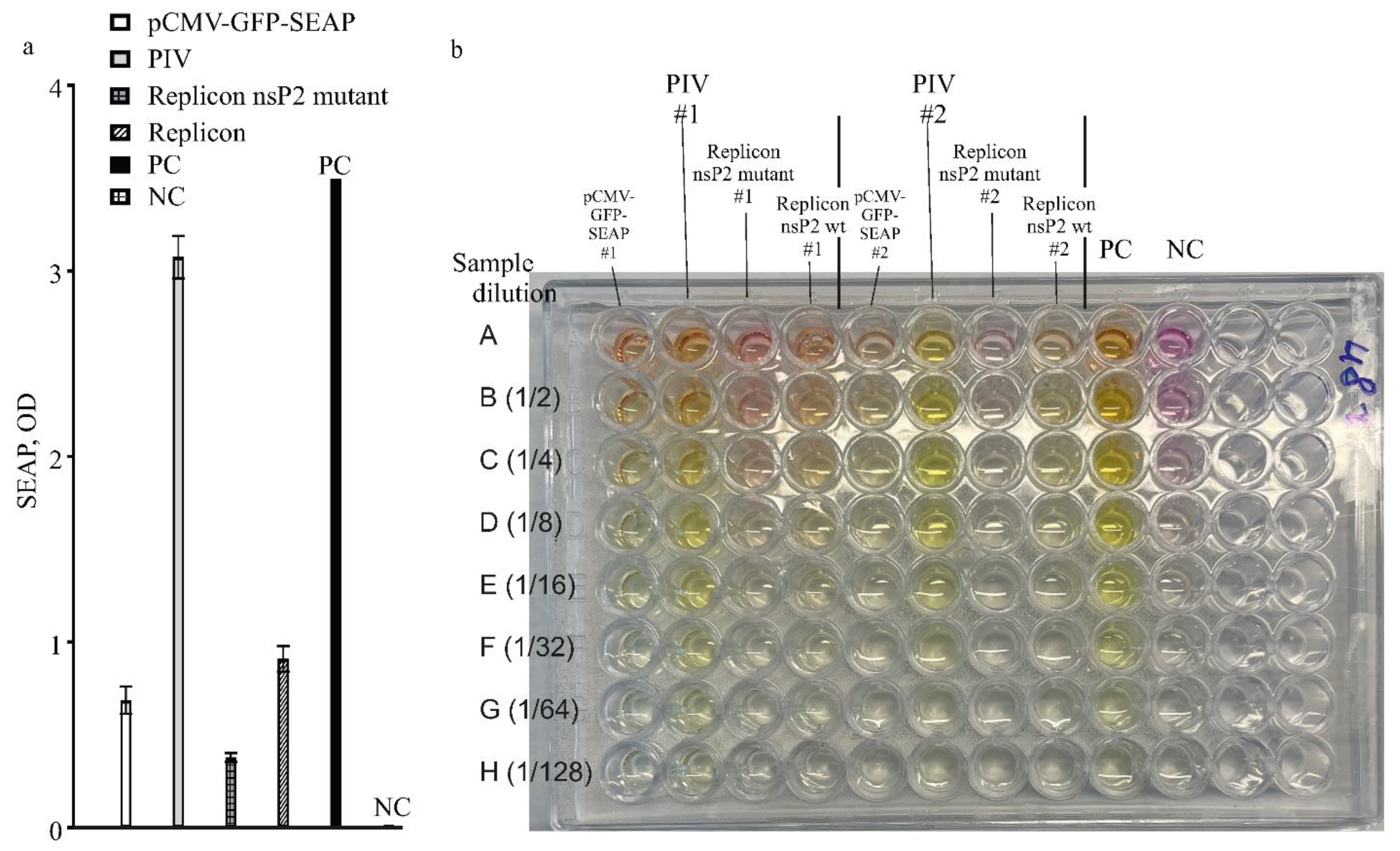 Preprints 144191 g006