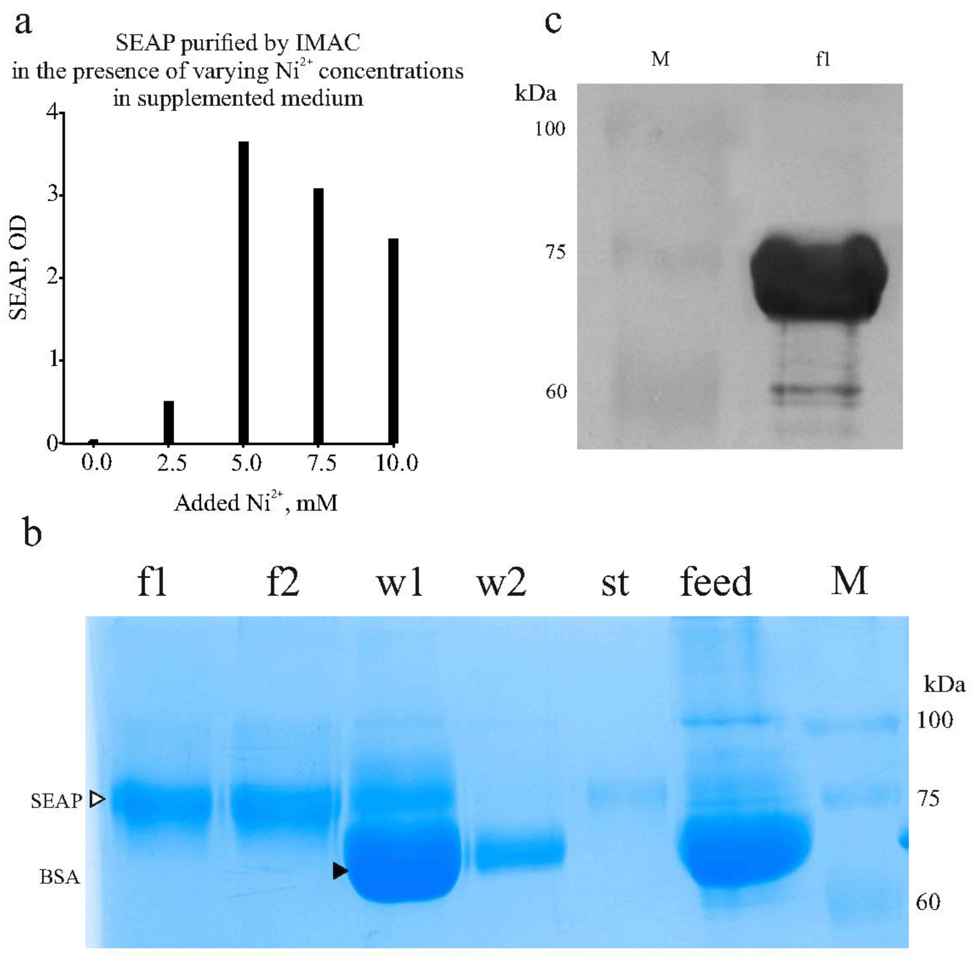 Preprints 144191 g007