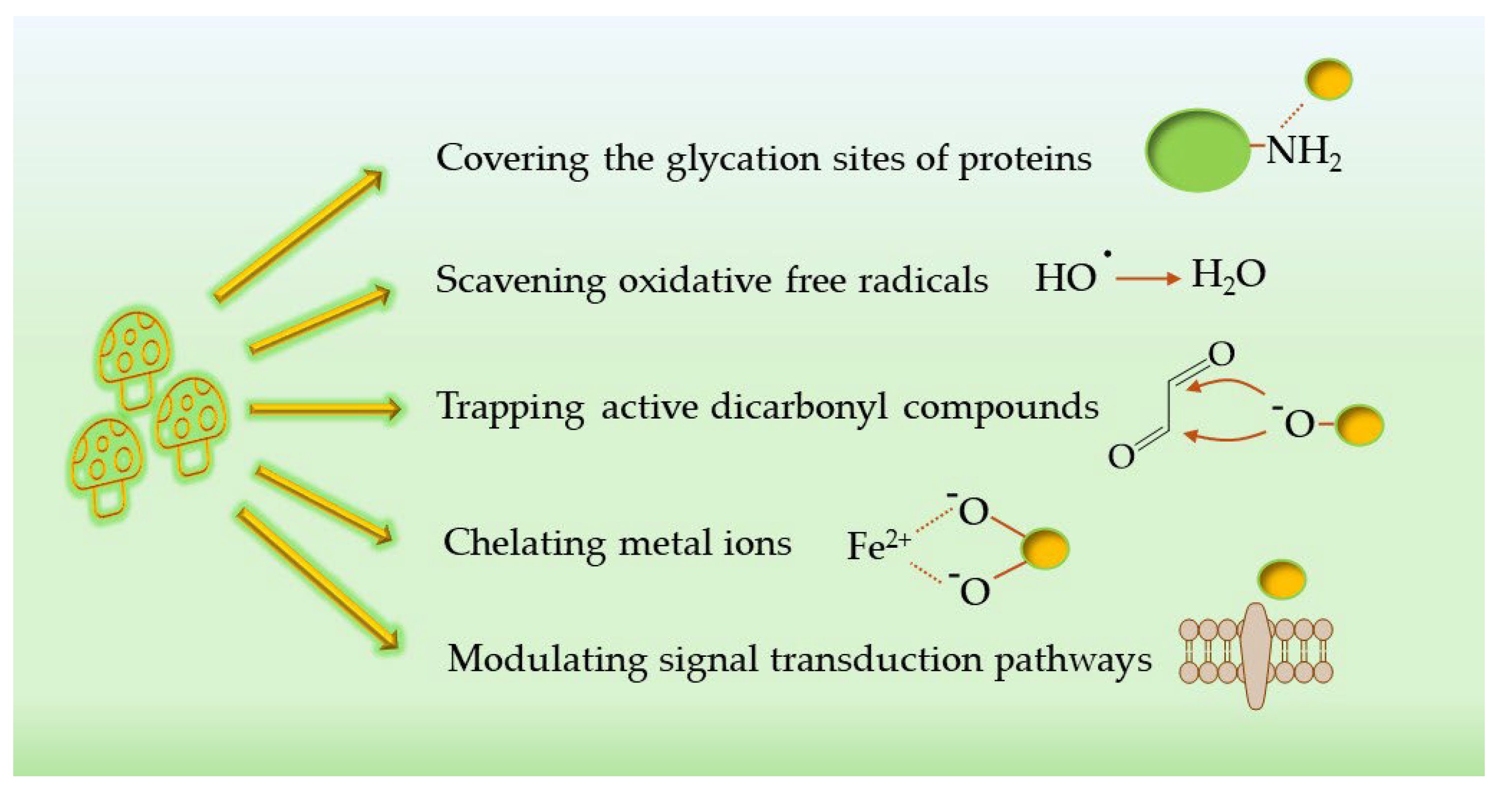 Preprints 190350 g004