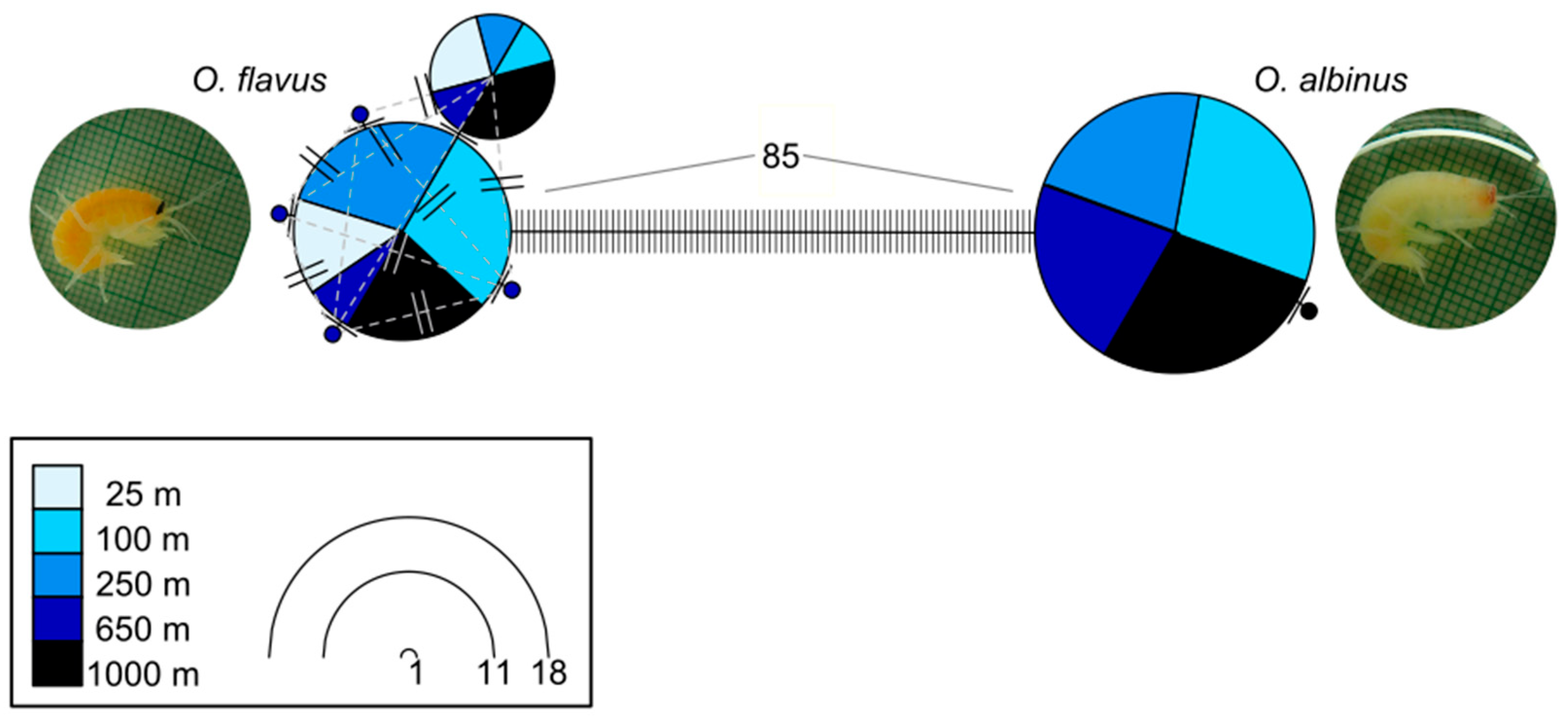 Preprints 168756 g003