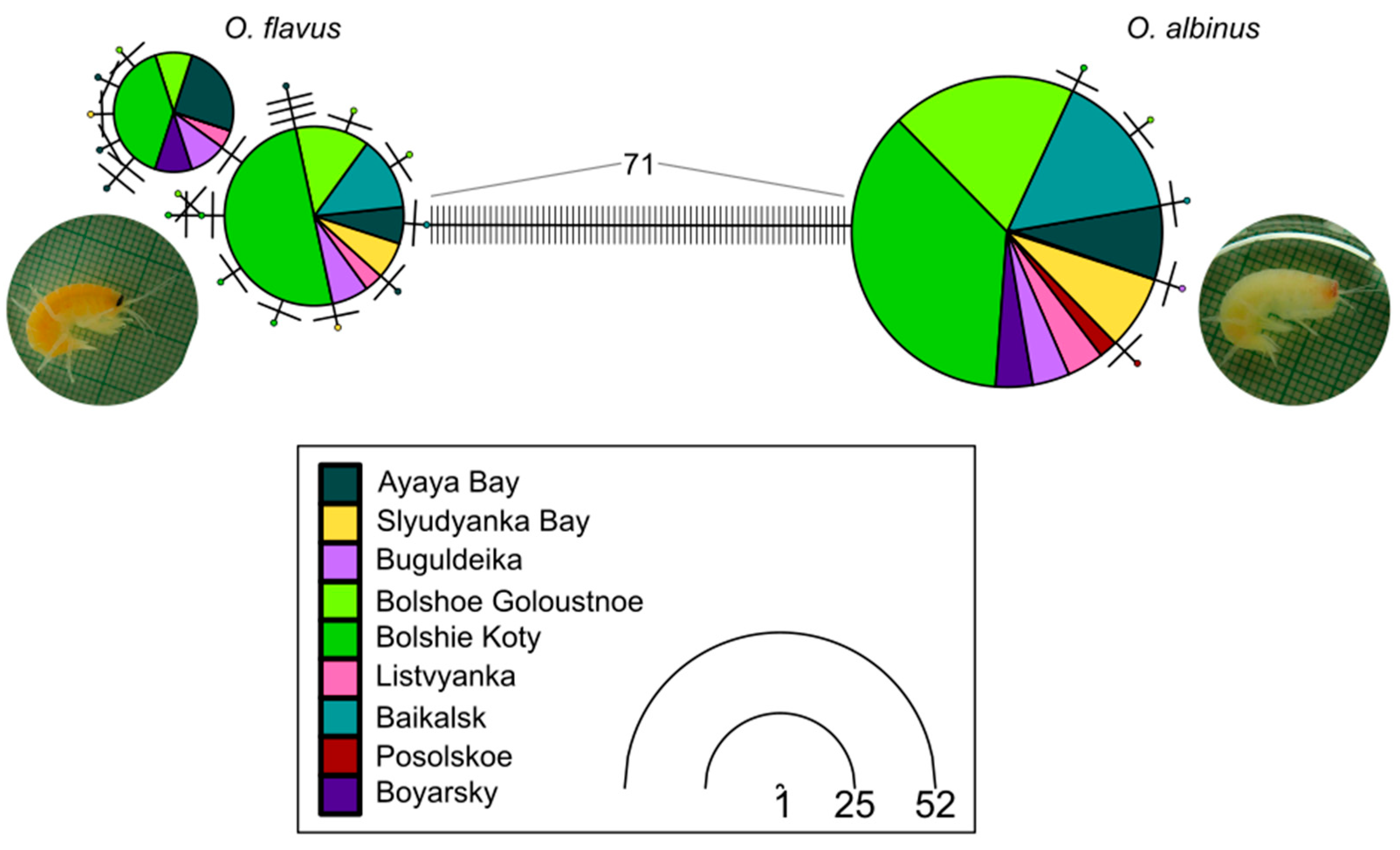 Preprints 168756 g004
