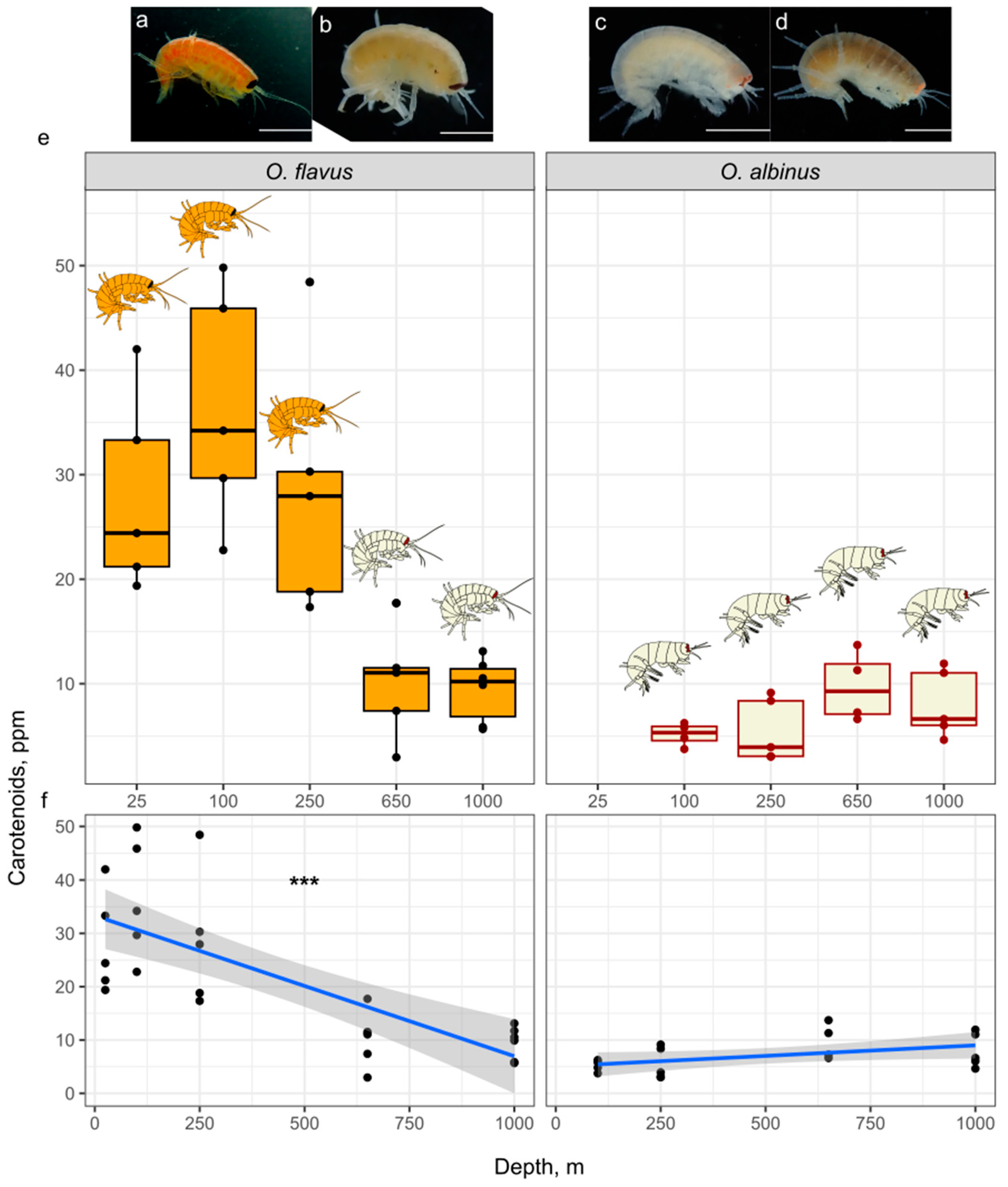 Preprints 168756 g005