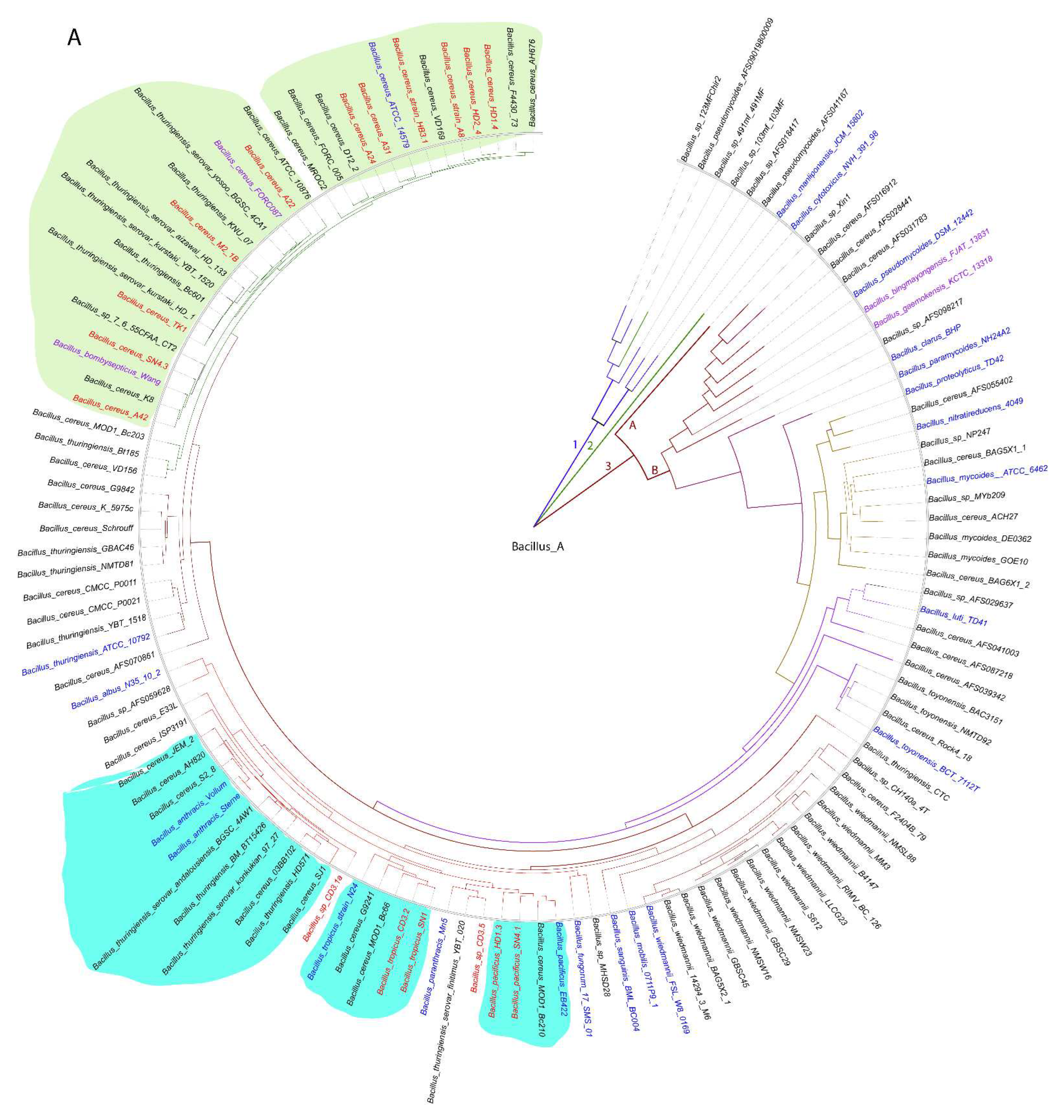 Preprints 87348 g001a