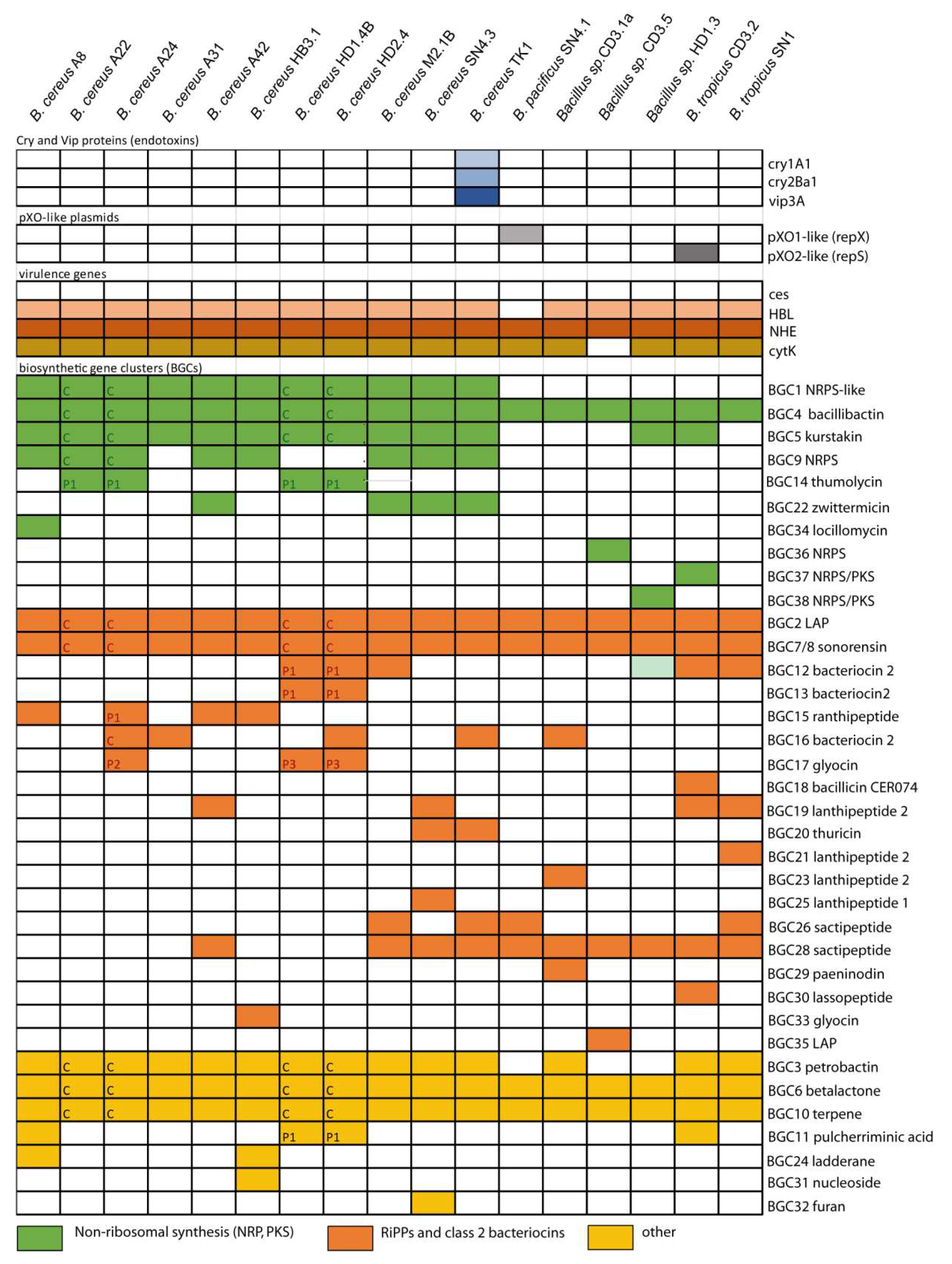 Preprints 87348 g002