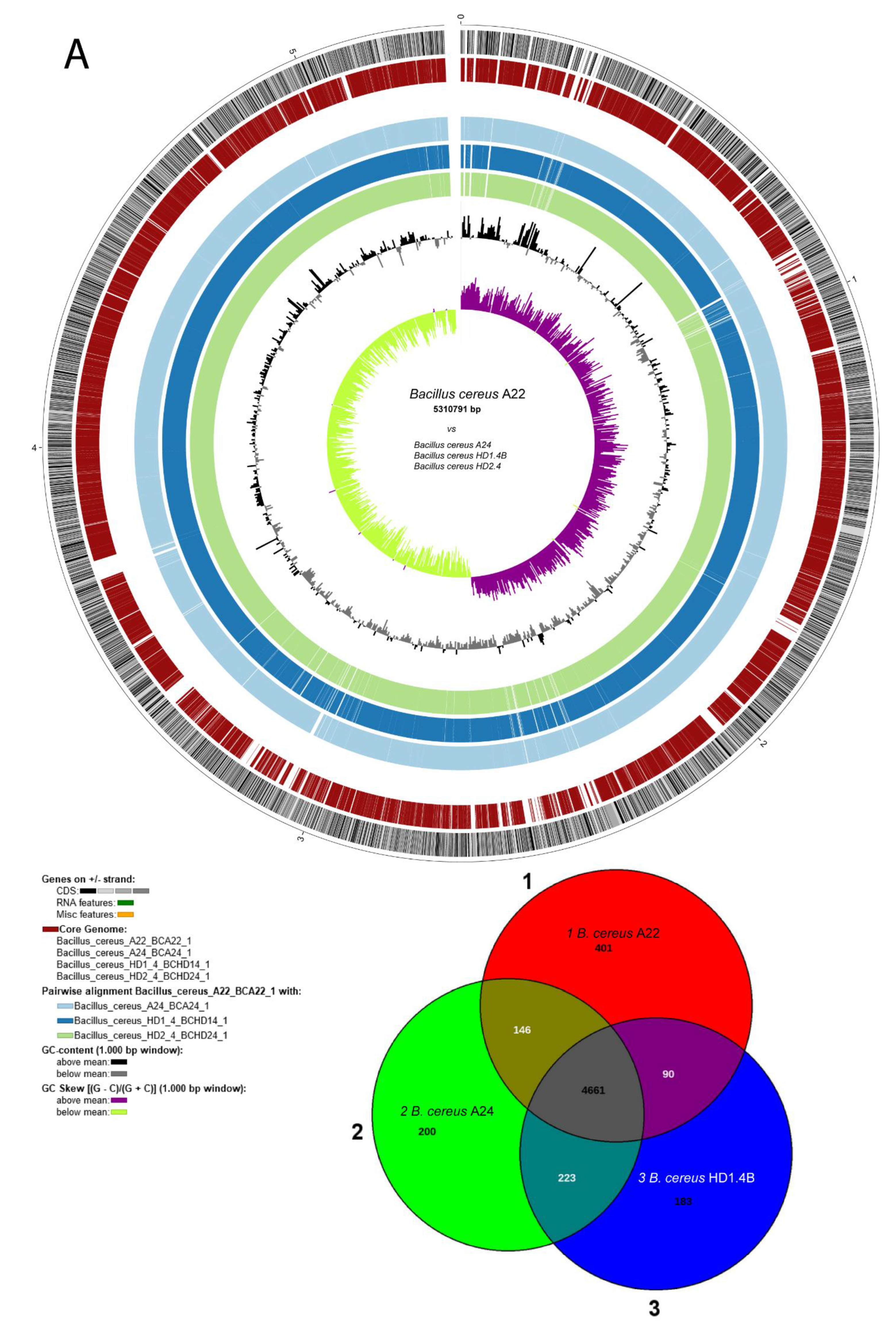 Preprints 87348 g003a