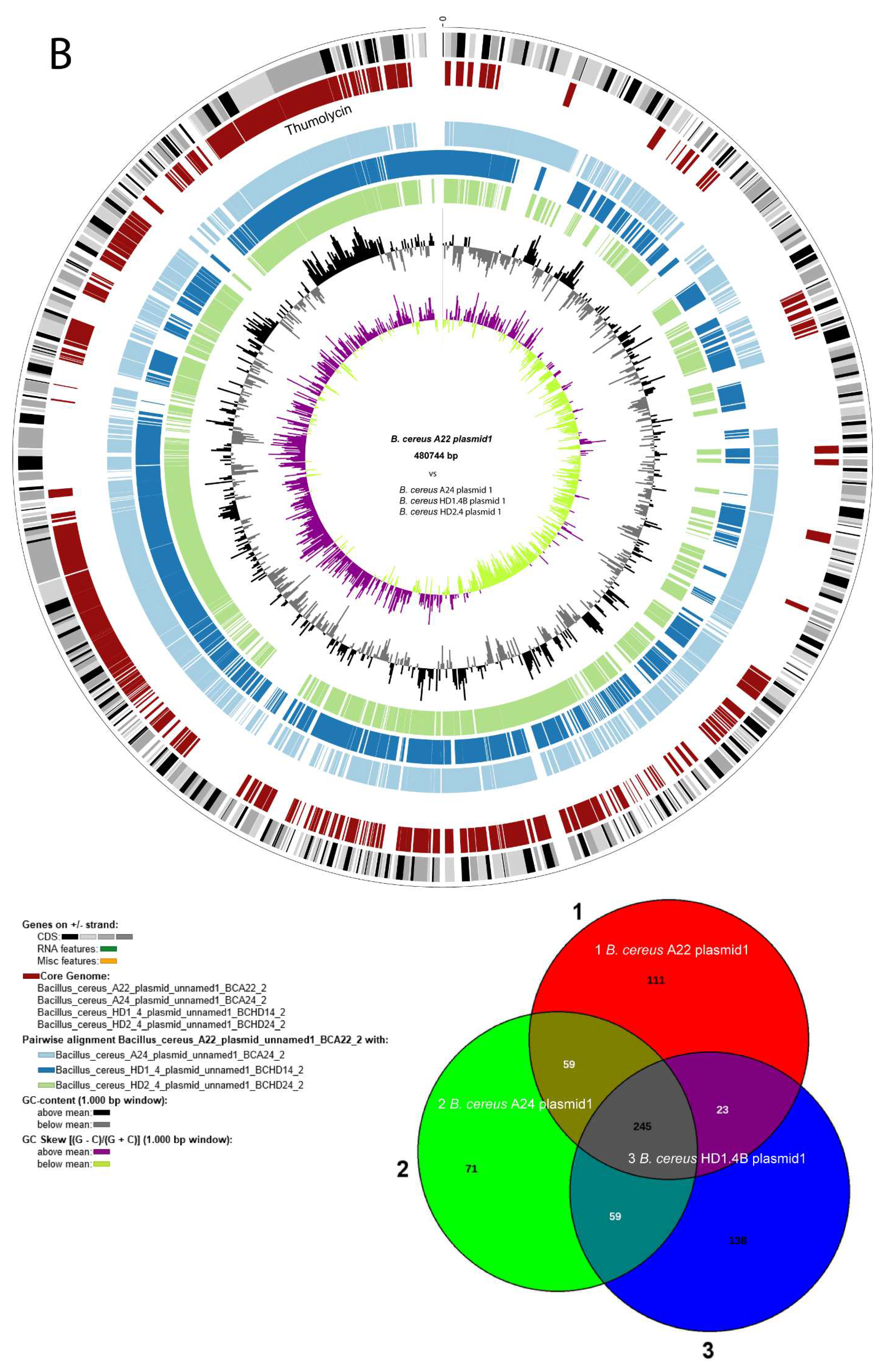 Preprints 87348 g003b