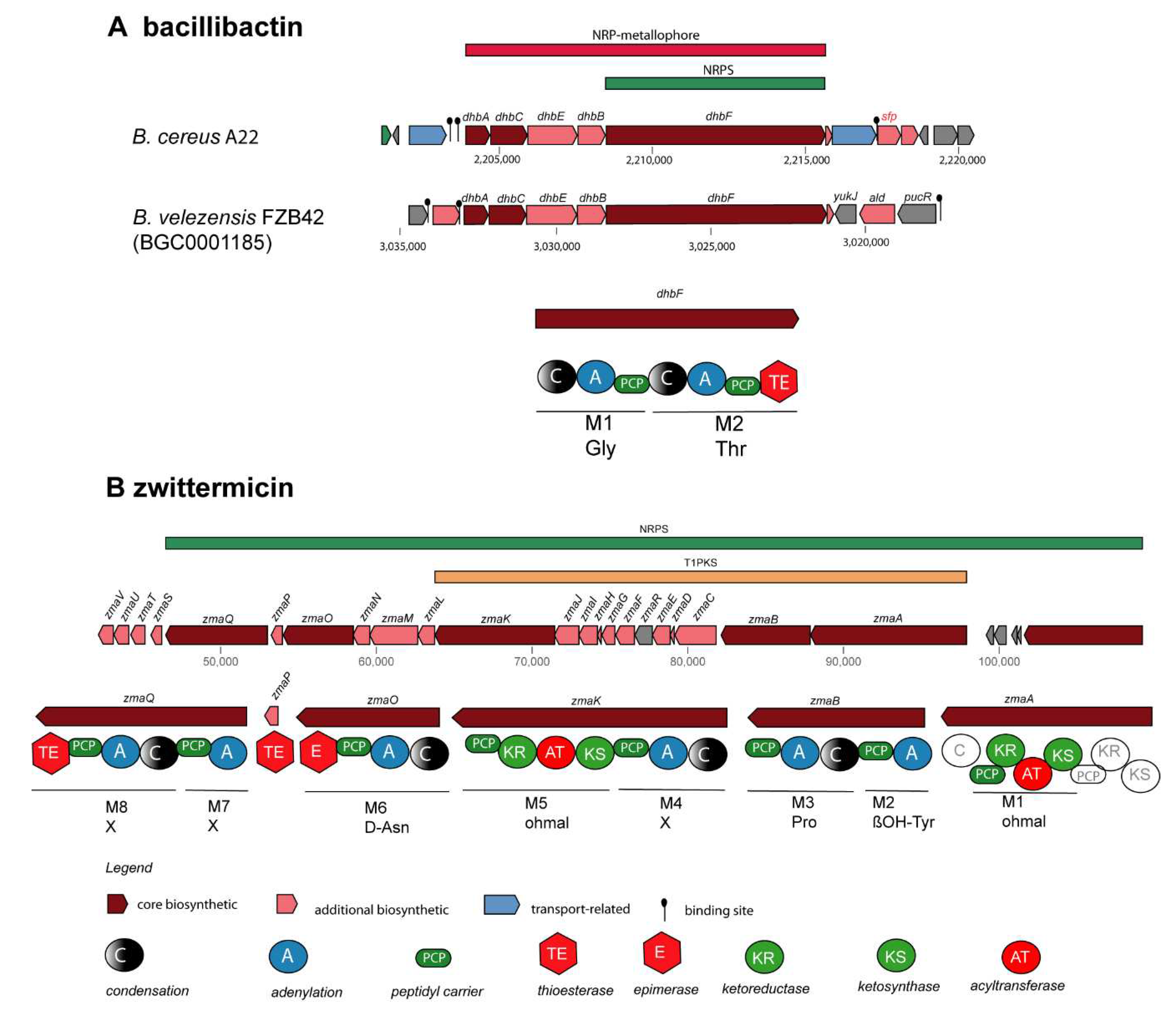 Preprints 87348 g005