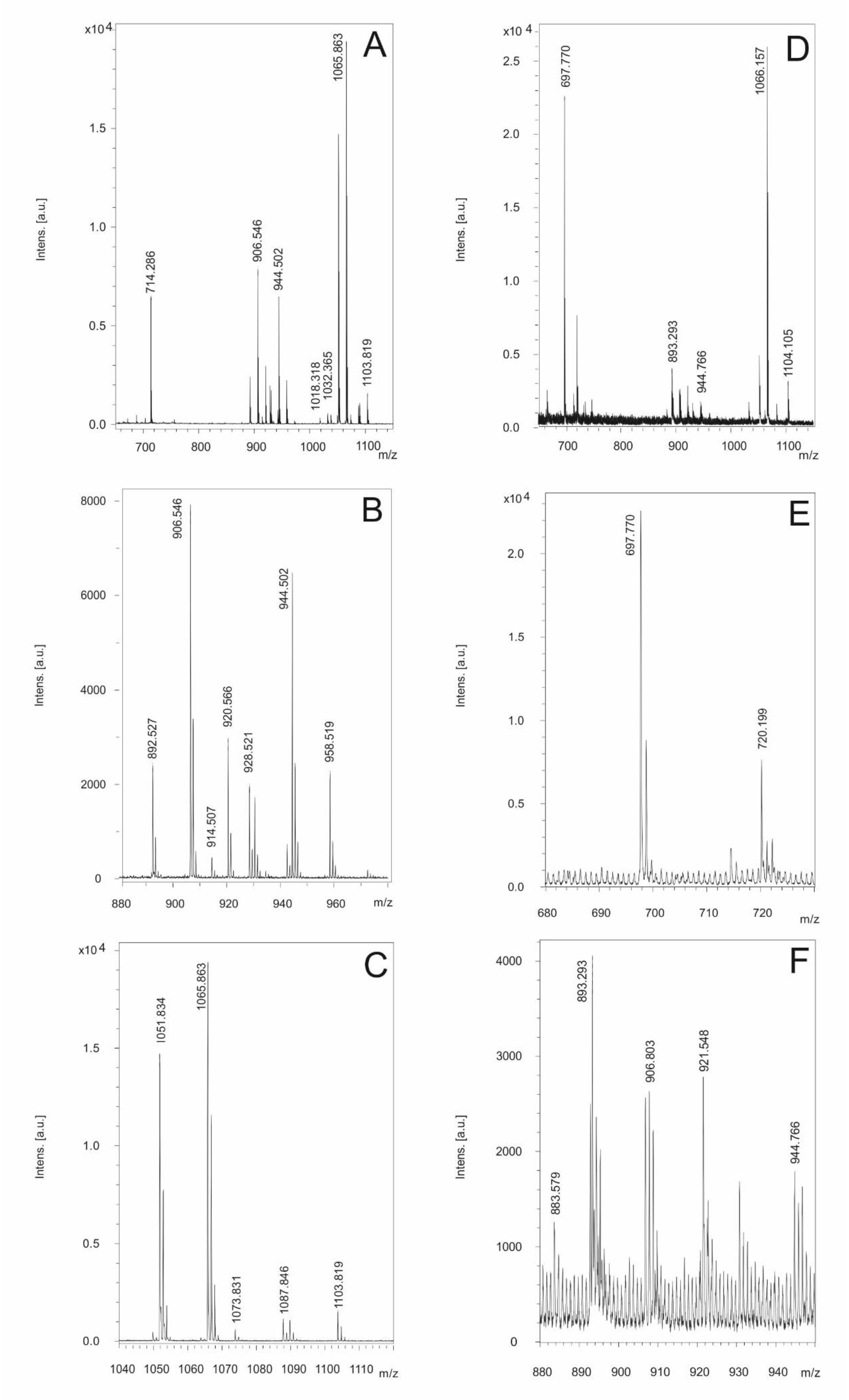 Preprints 87348 g006