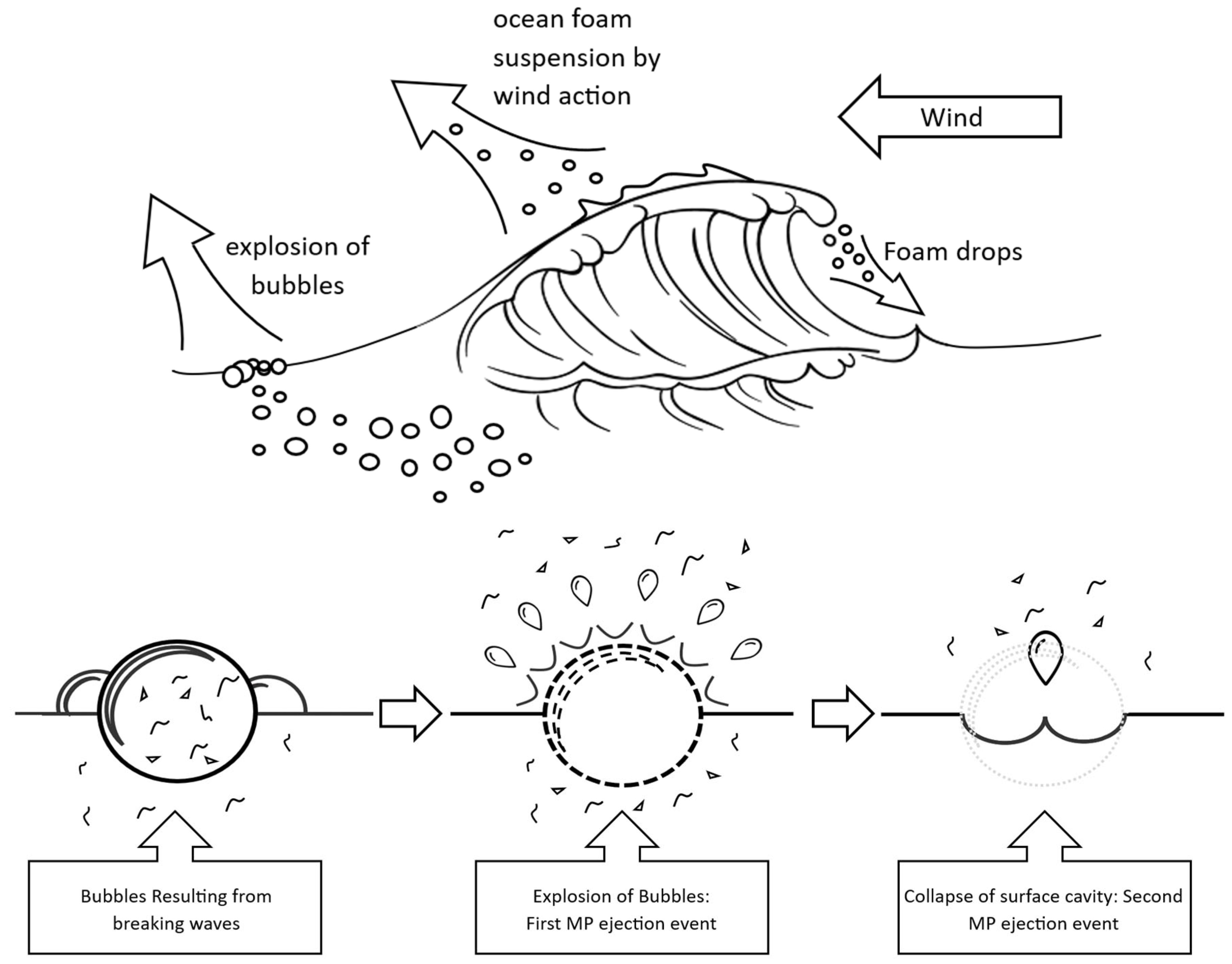 Preprints 152906 g002