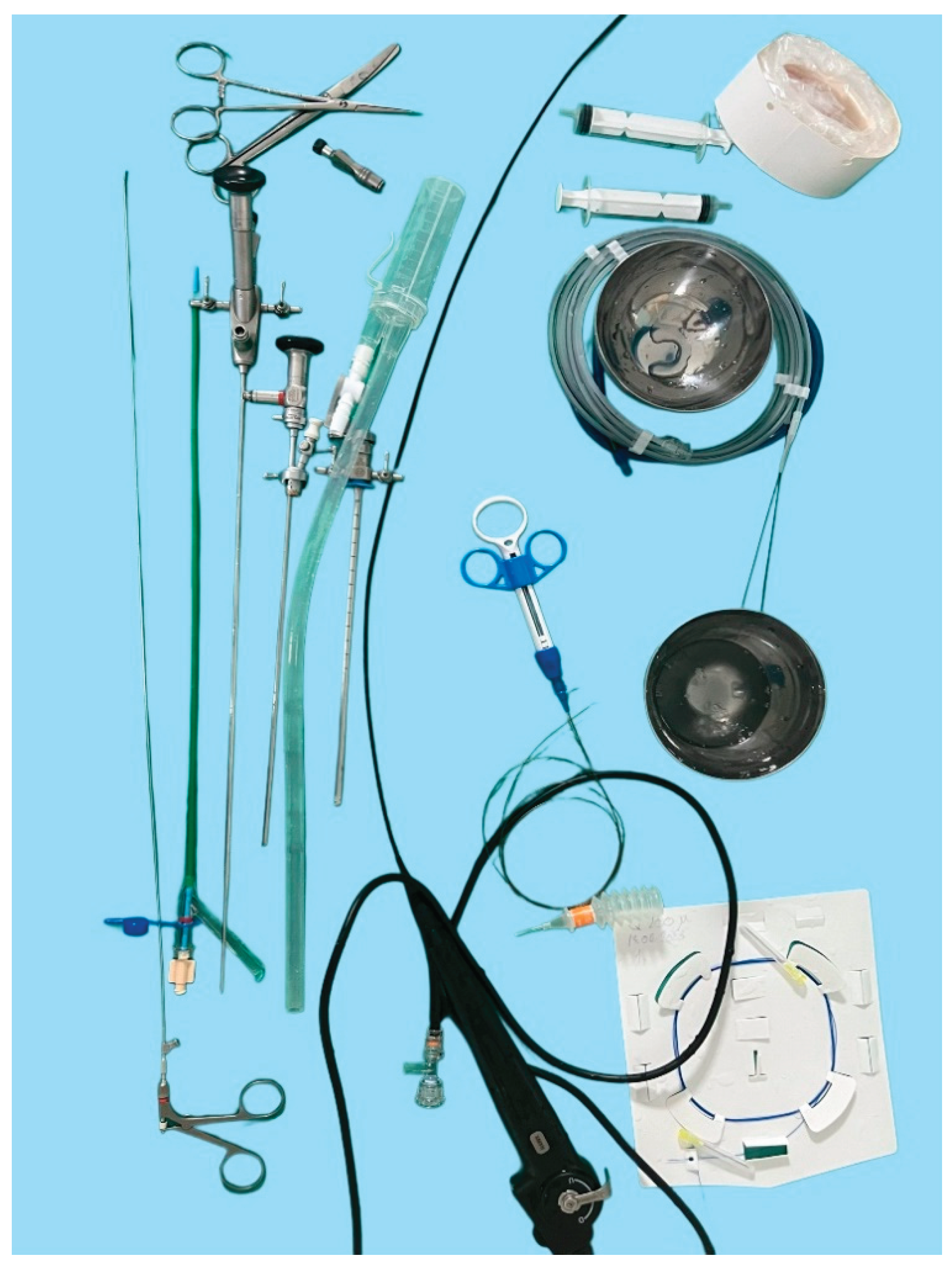 Preprints 168040 g001