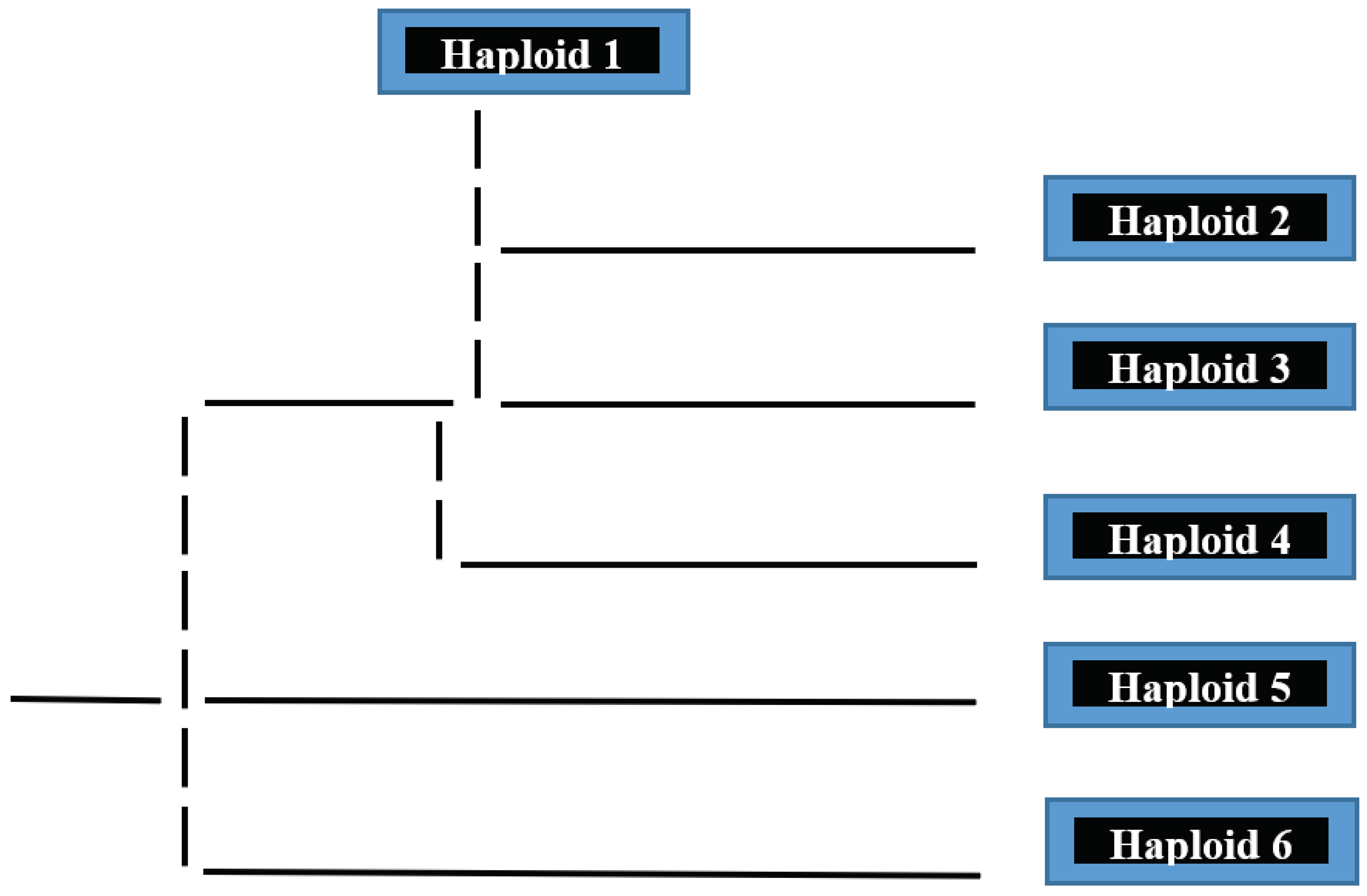 Preprints 100773 g004