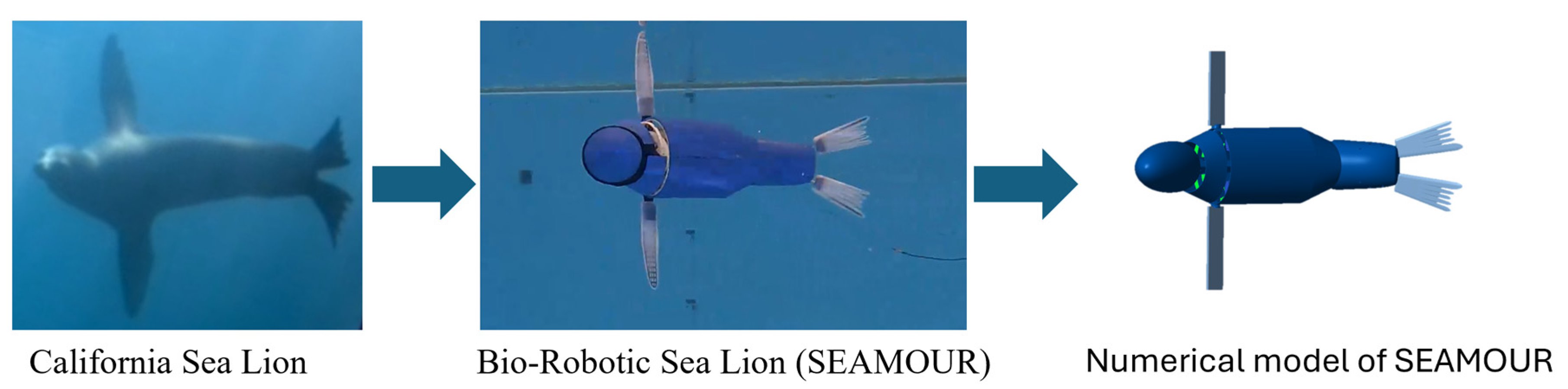 Preprints 181038 g001