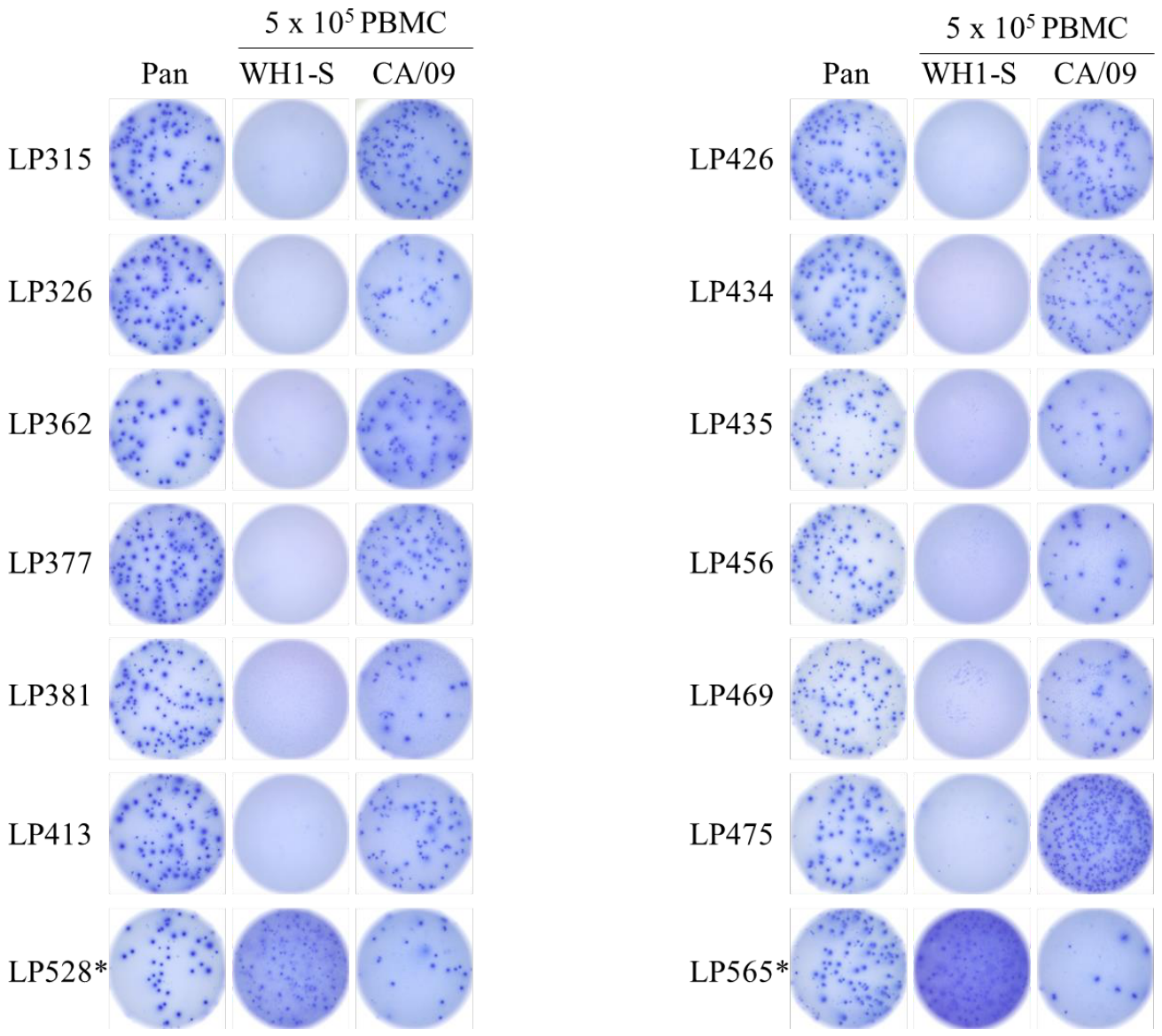 Preprints 217082 g001