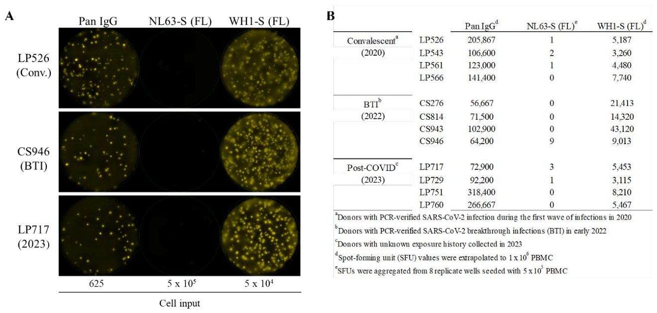 Preprints 217082 g002