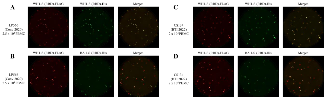 Preprints 217082 g004