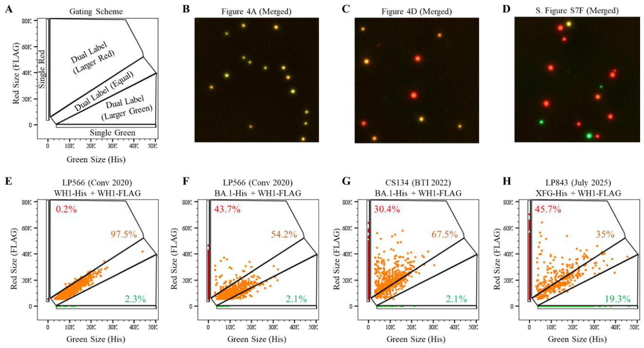 Preprints 217082 g005