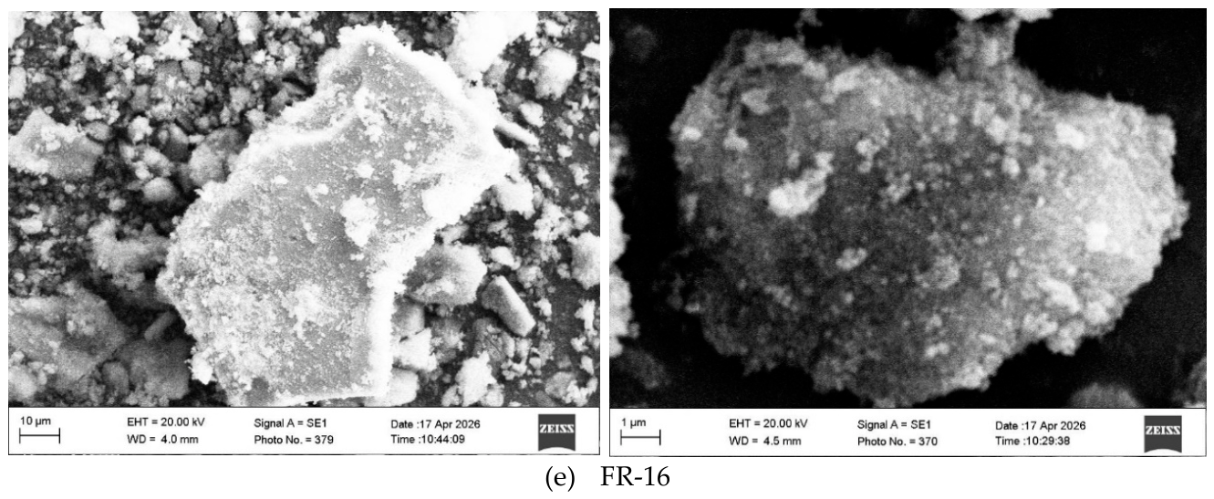 Preprints 234146 g004b