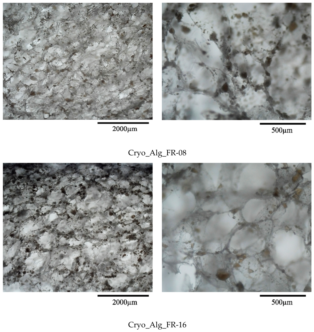 Preprints 234146 g023b
