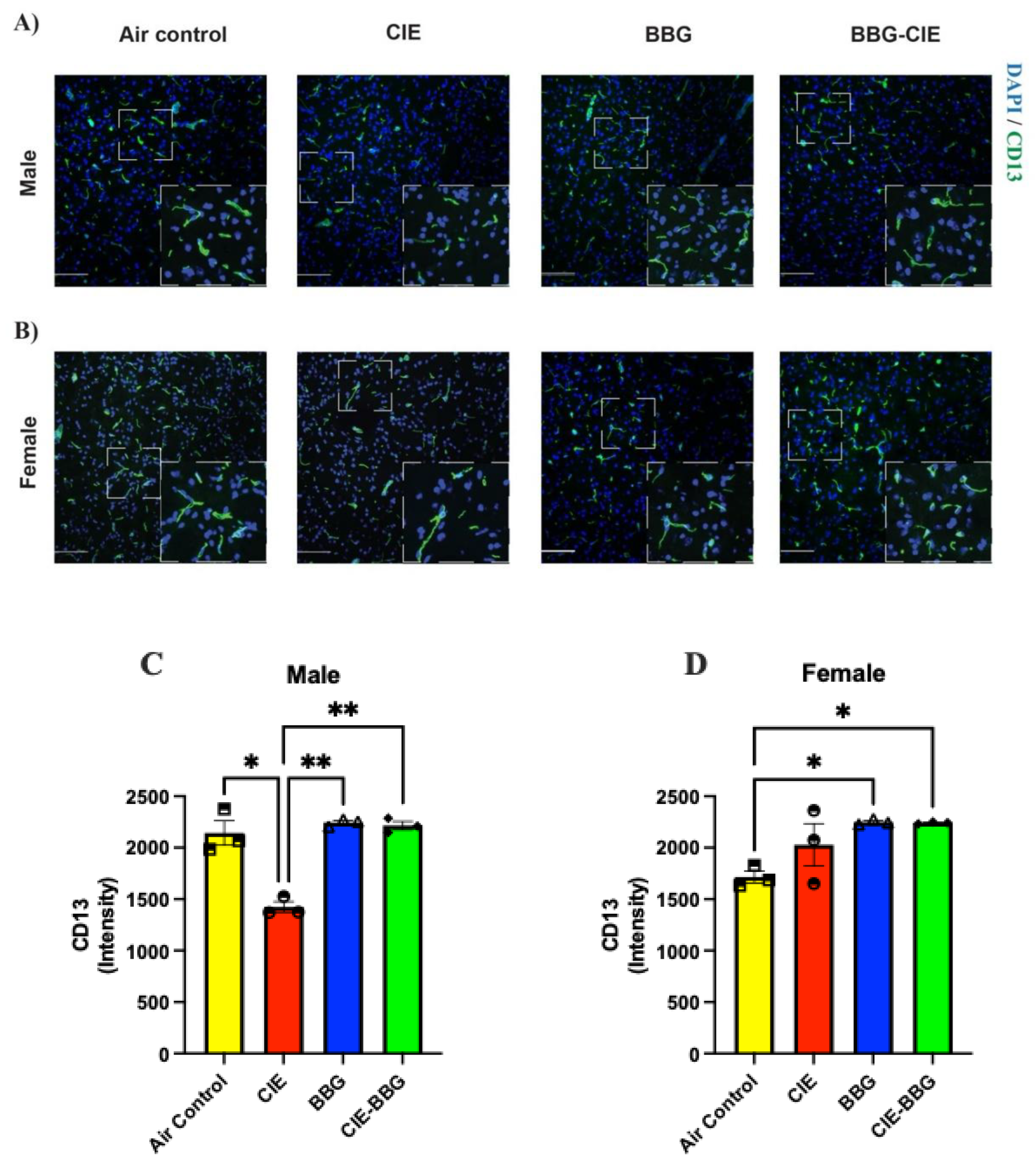 Preprints 196170 g003