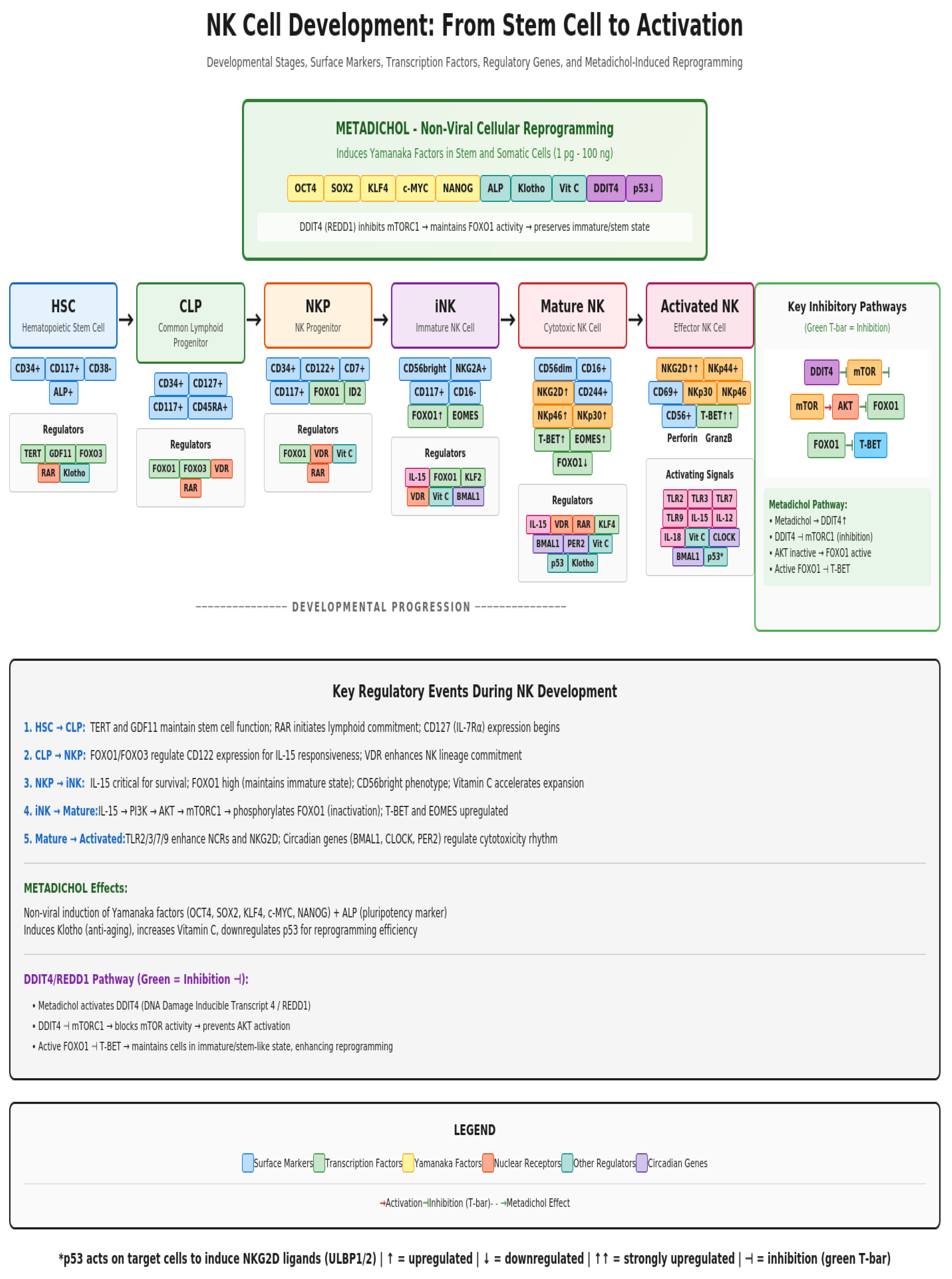 Preprints 196002 g011