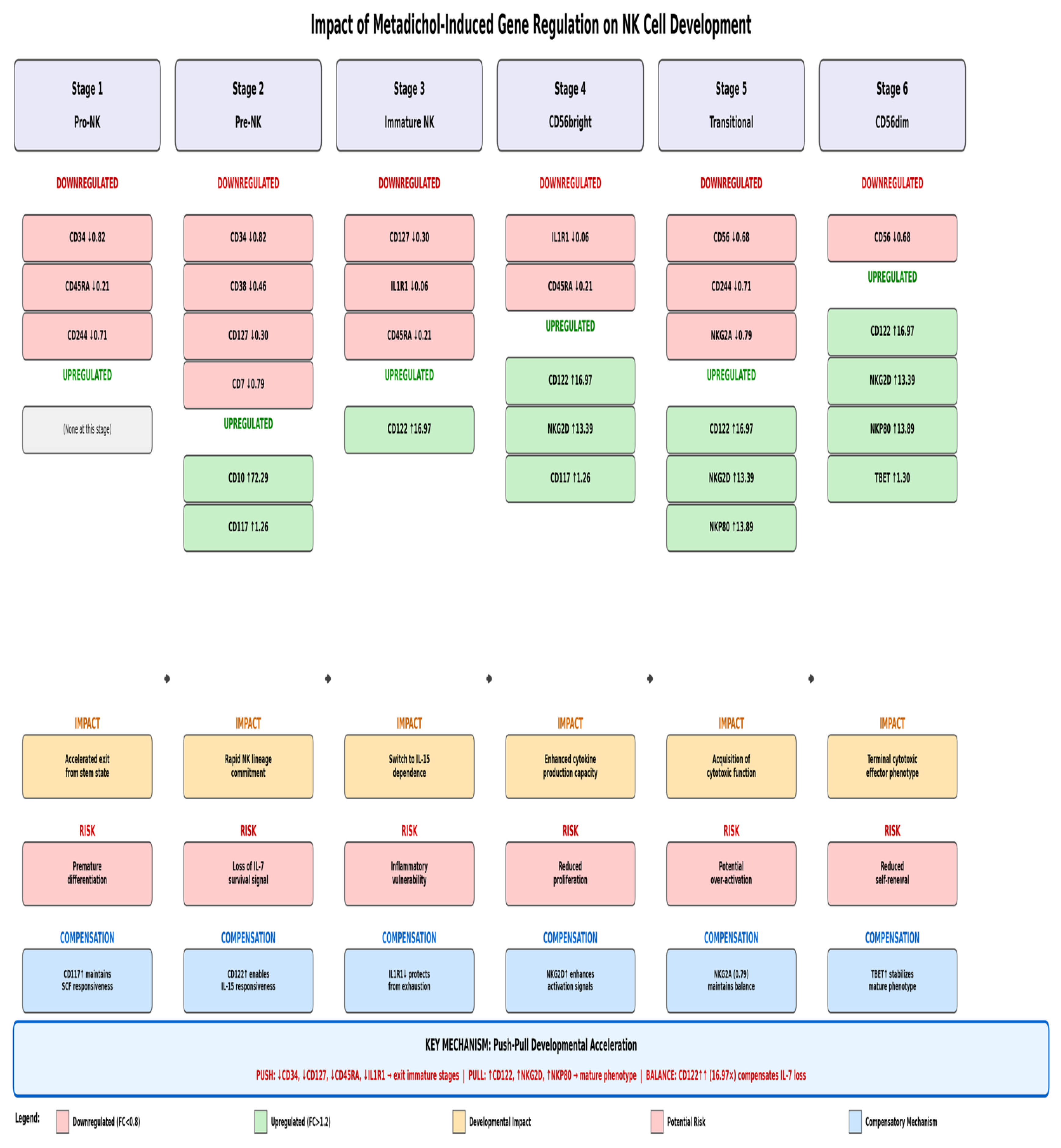 Preprints 196002 g012