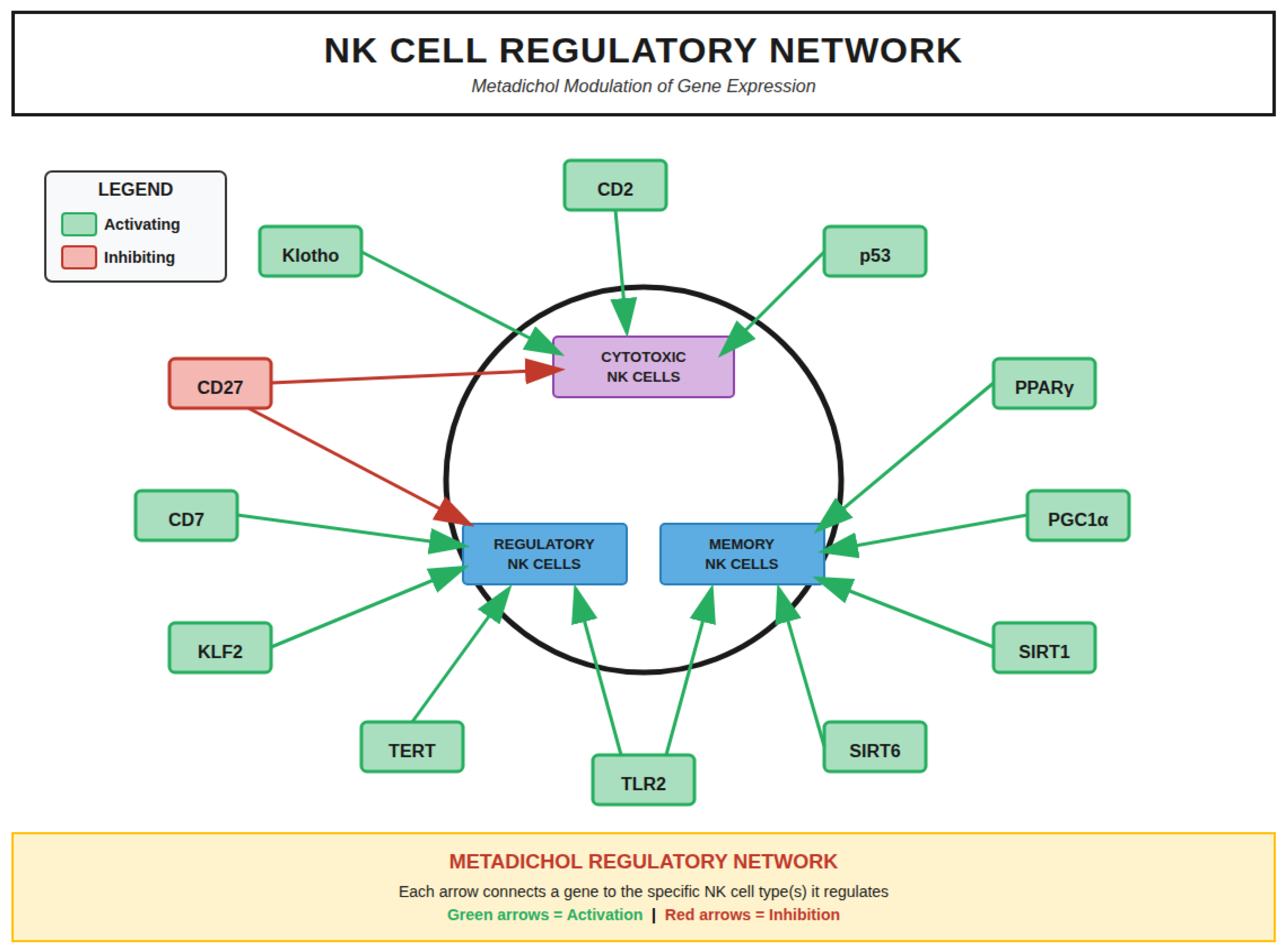 Preprints 196002 g014