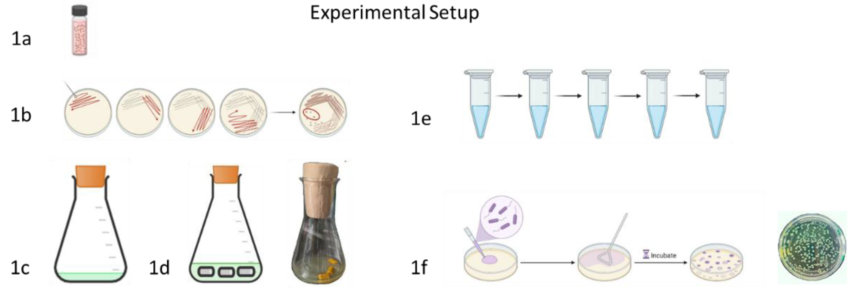 Preprints 167524 g001