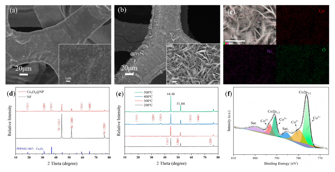 Preprints 209195 g001