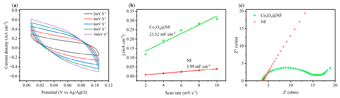 Preprints 209195 g003