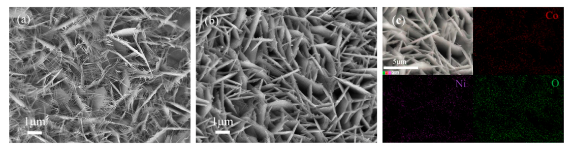 Preprints 209195 g008