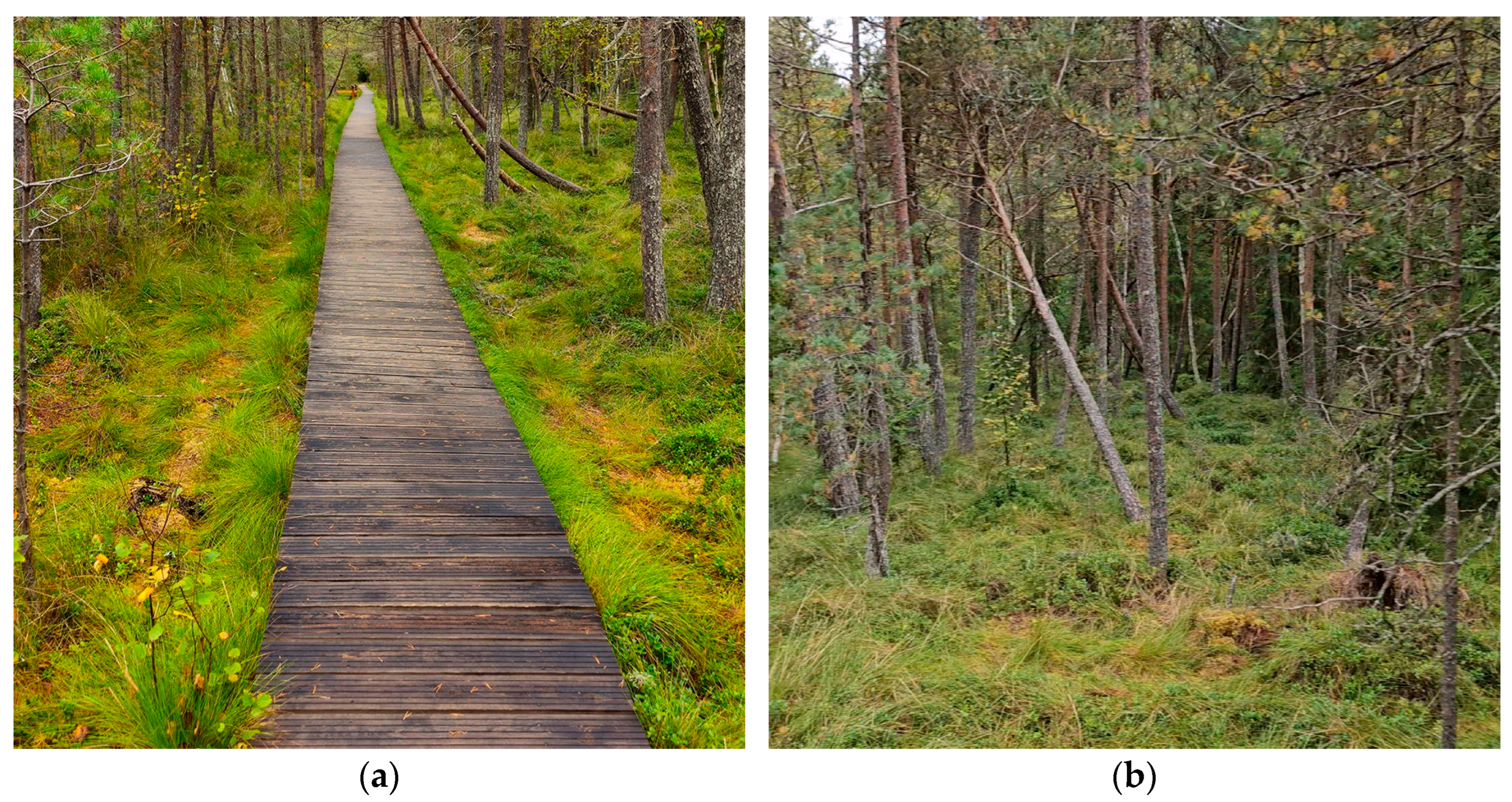 Preprints 168204 g002