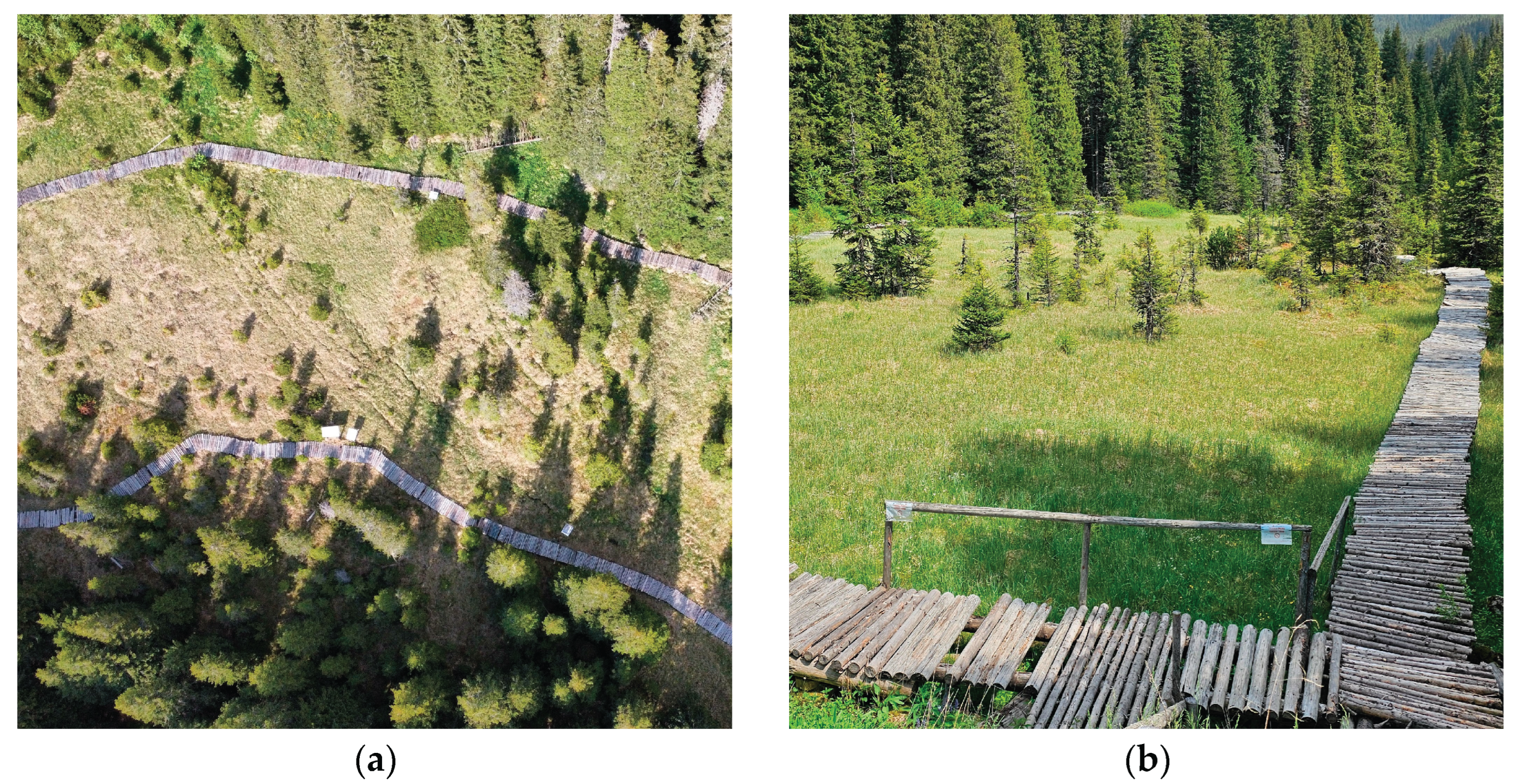Preprints 168204 g003