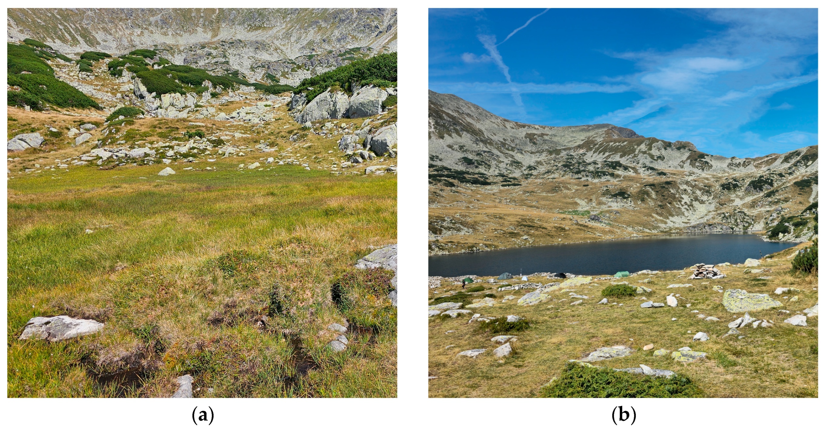 Preprints 168204 g004